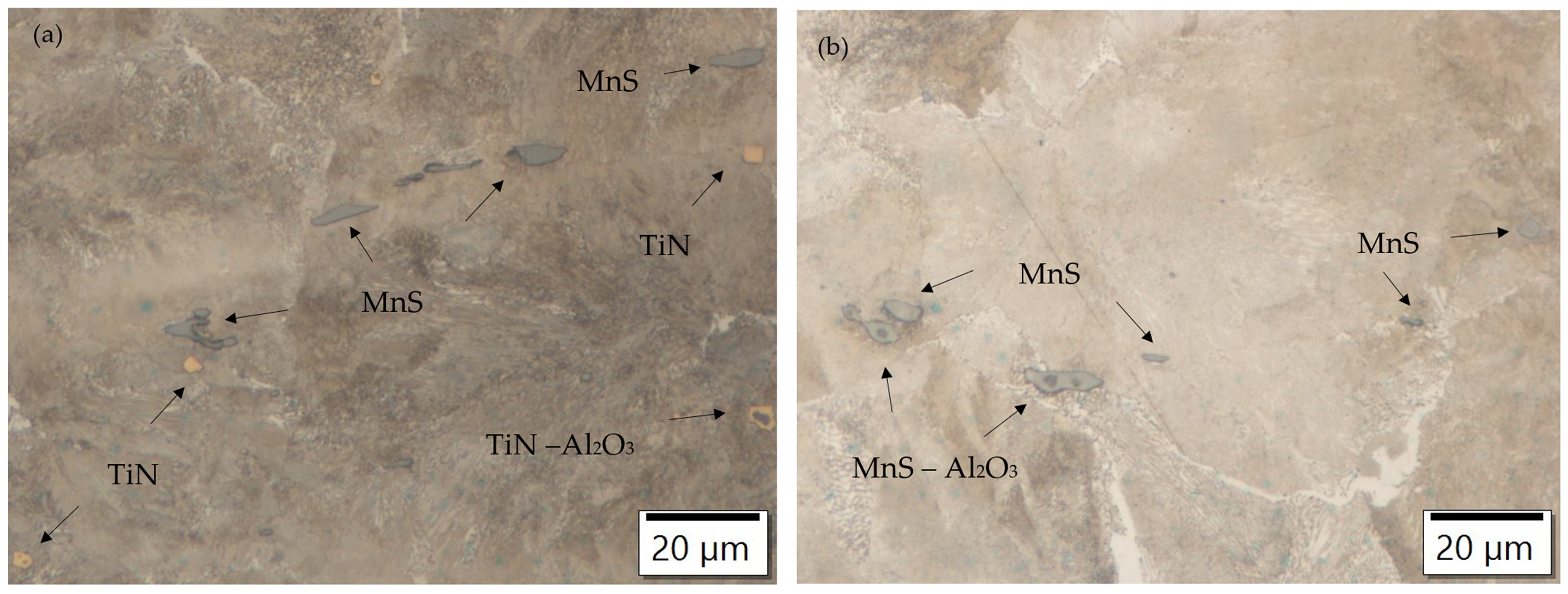 Metals 14 00977 g001