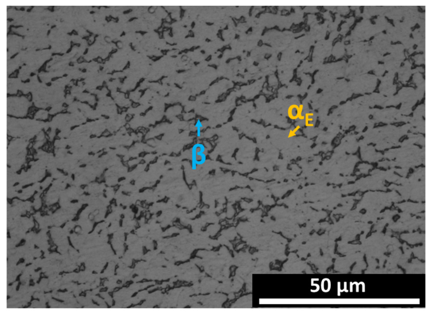 Metals 14 00985 g001