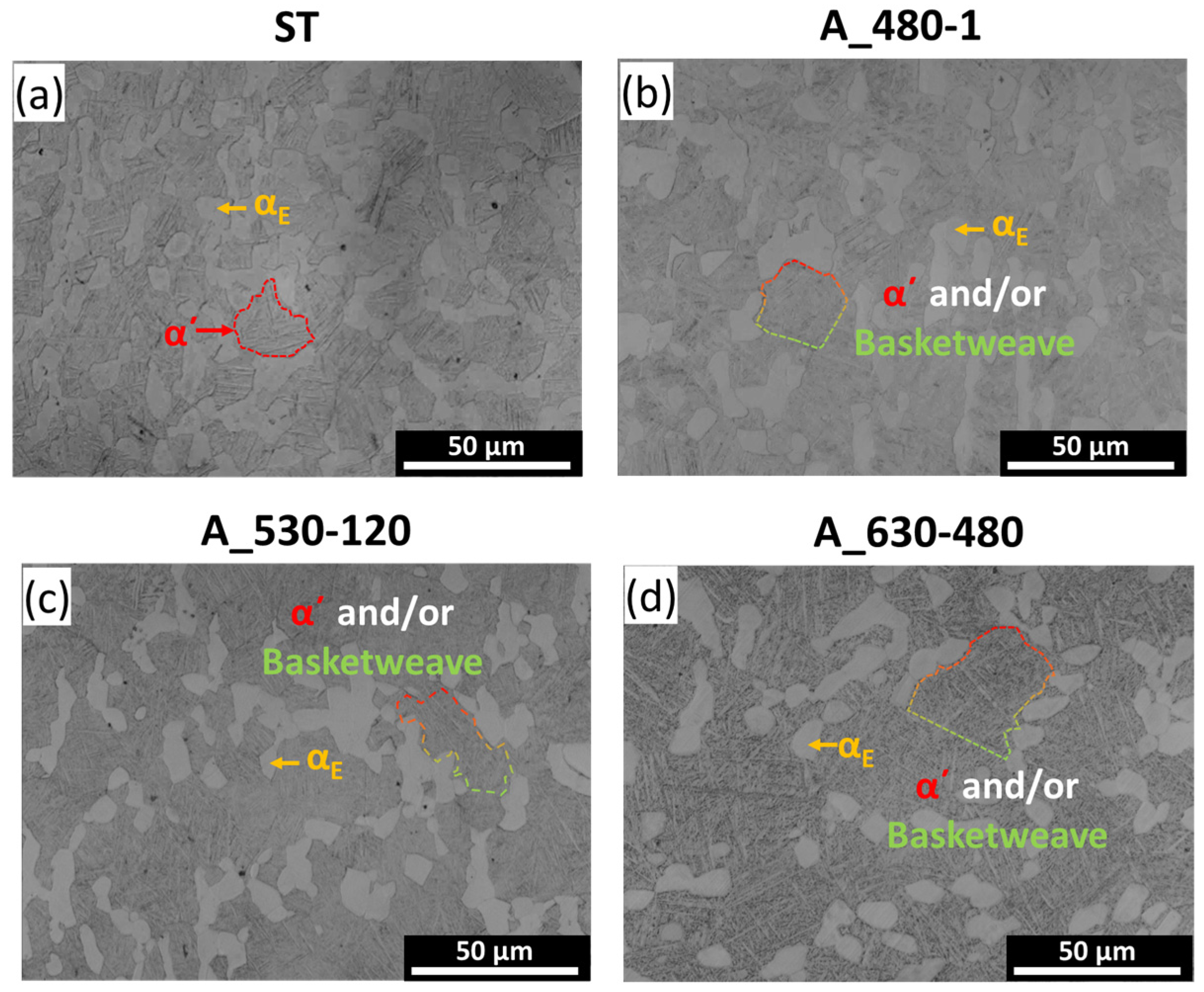 Metals 14 00985 g008