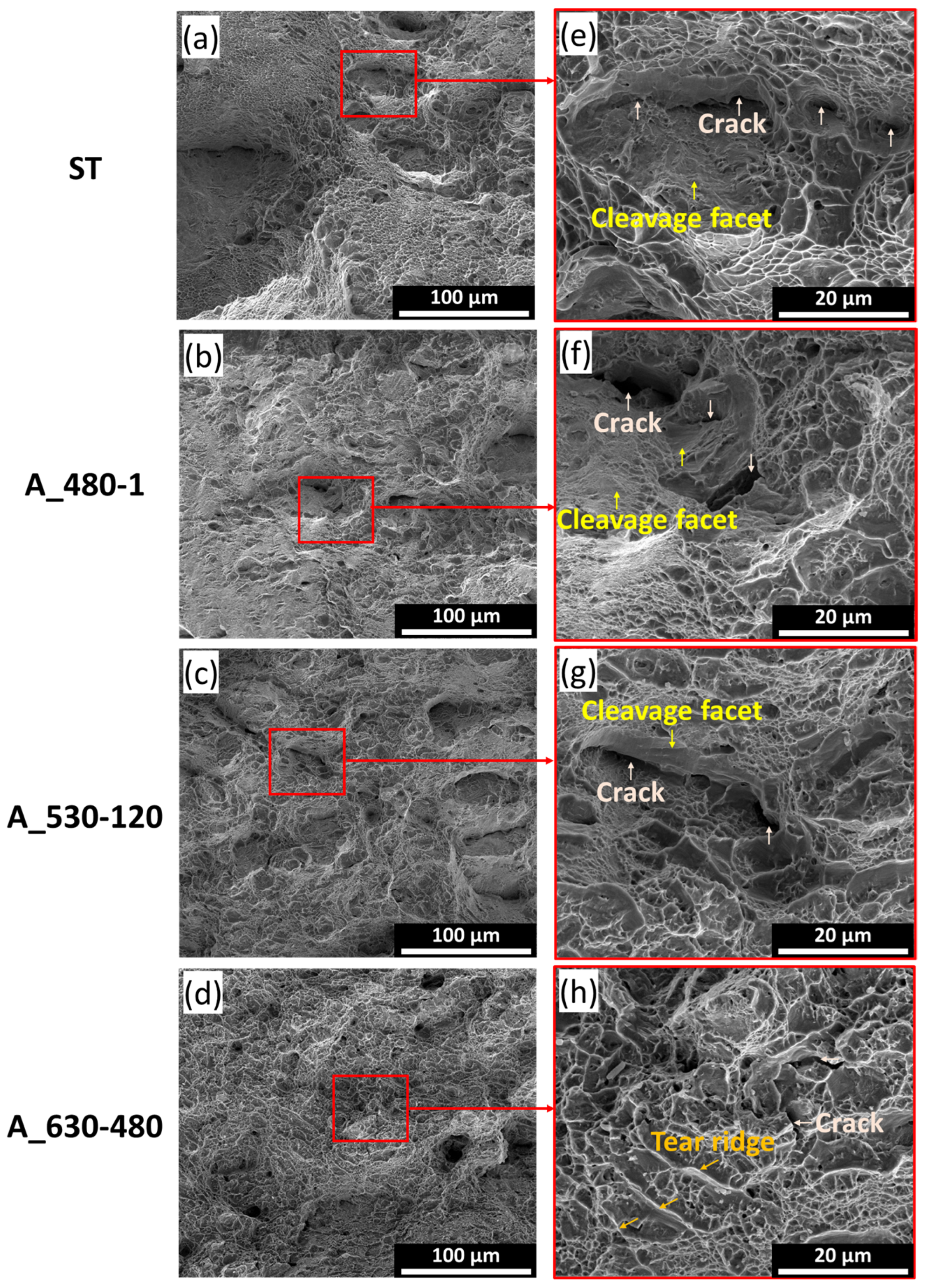 Metals 14 00985 g014