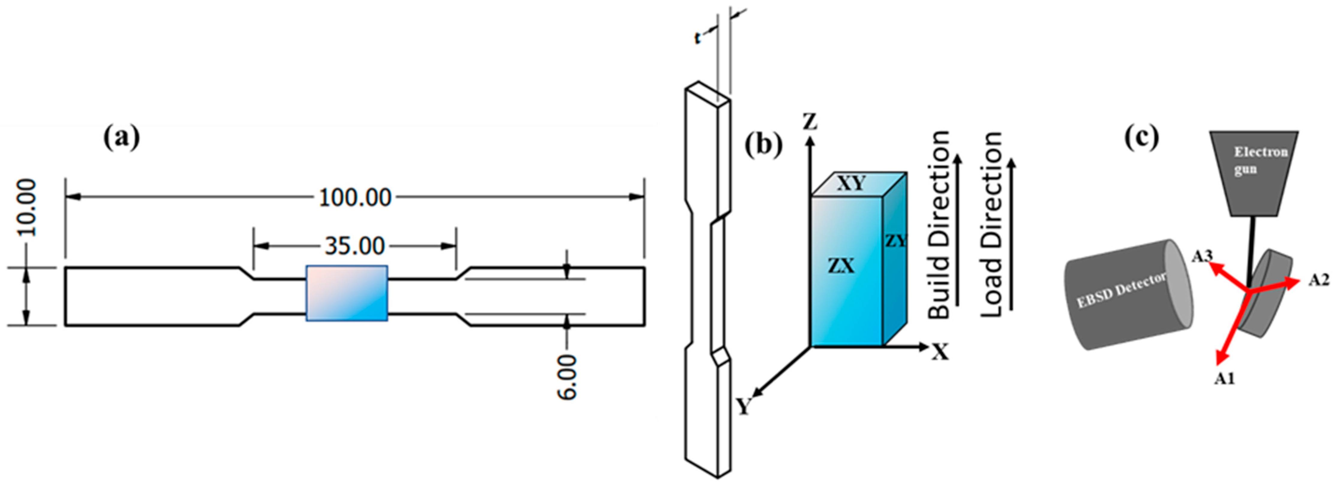 Metals 14 00988 g001