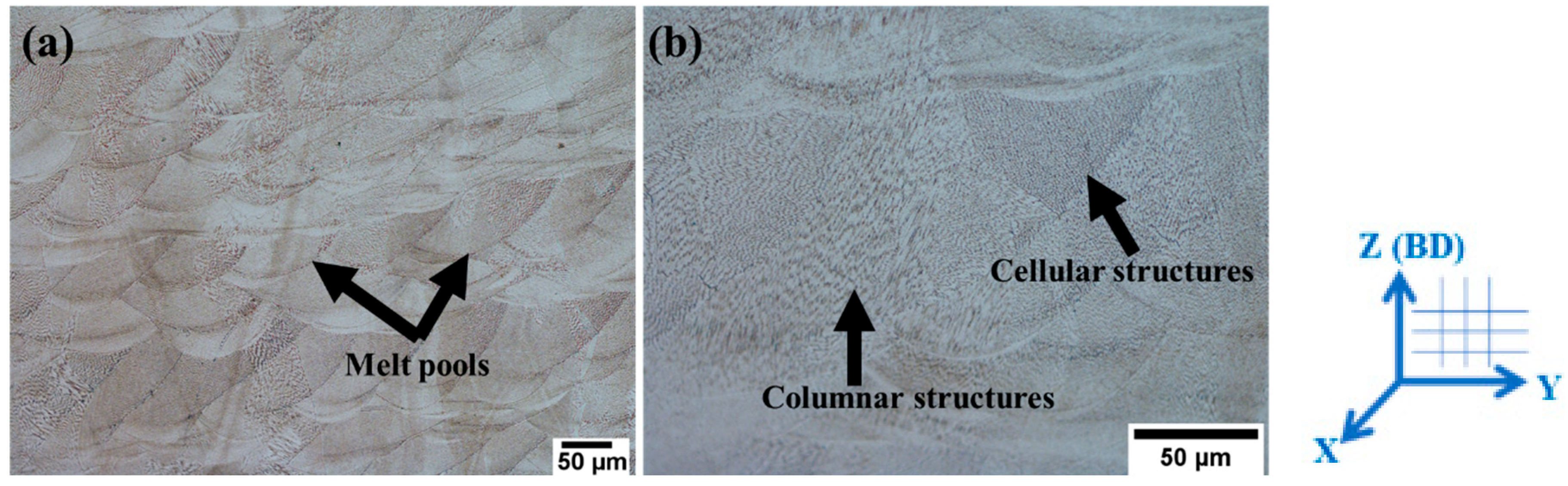 Metals 14 00988 g002