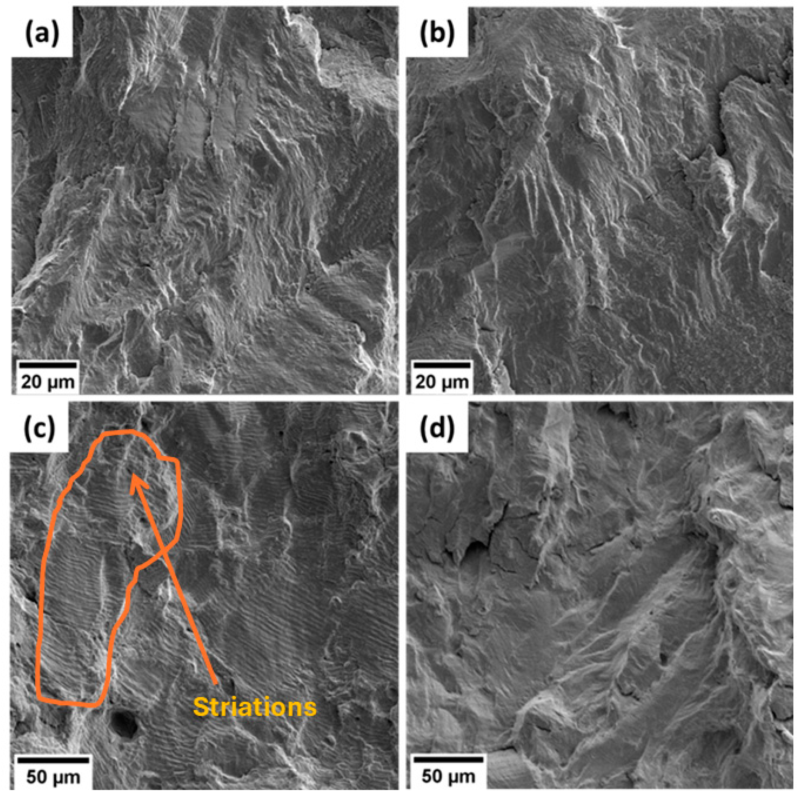 Metals 14 00988 g010