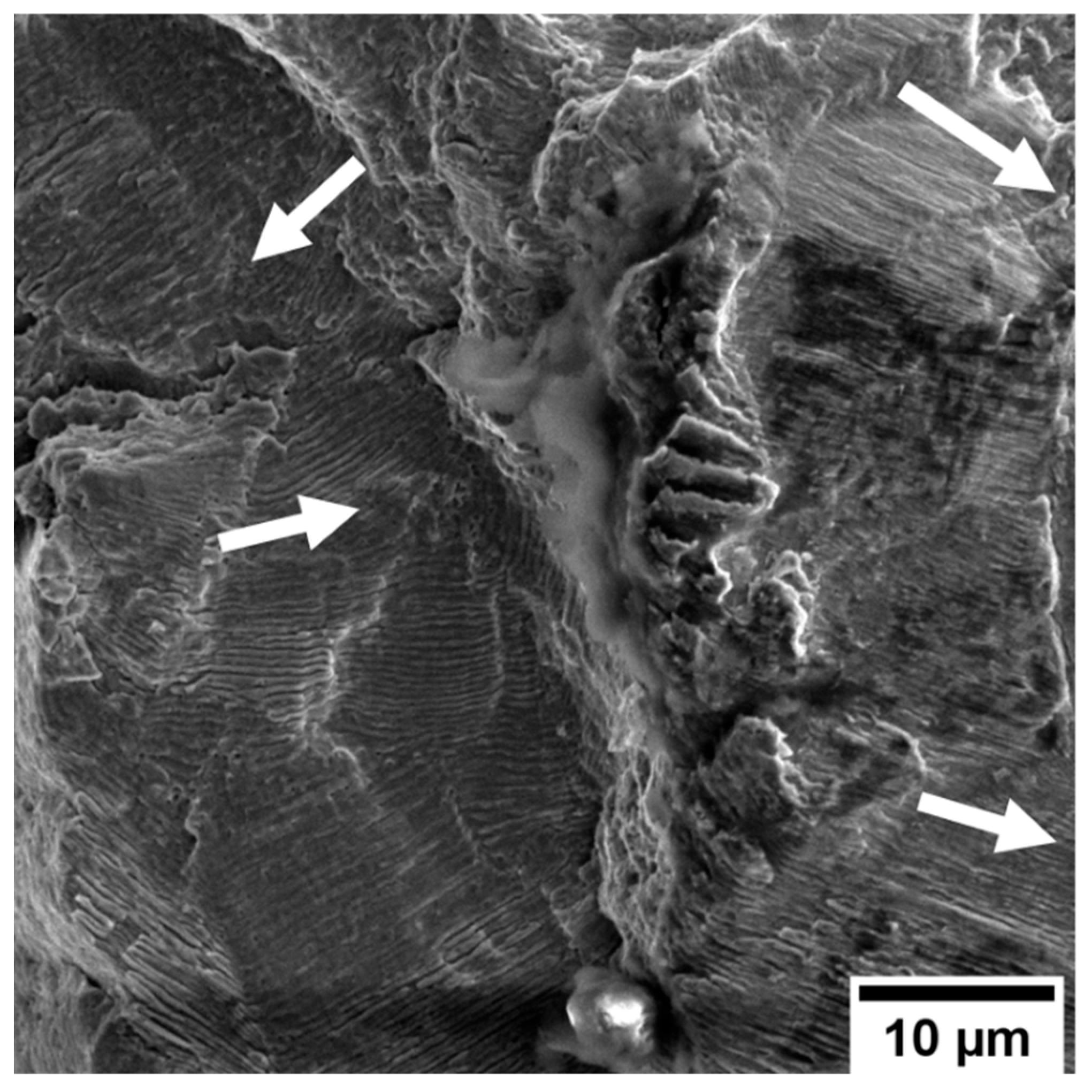 Metals 14 00988 g012