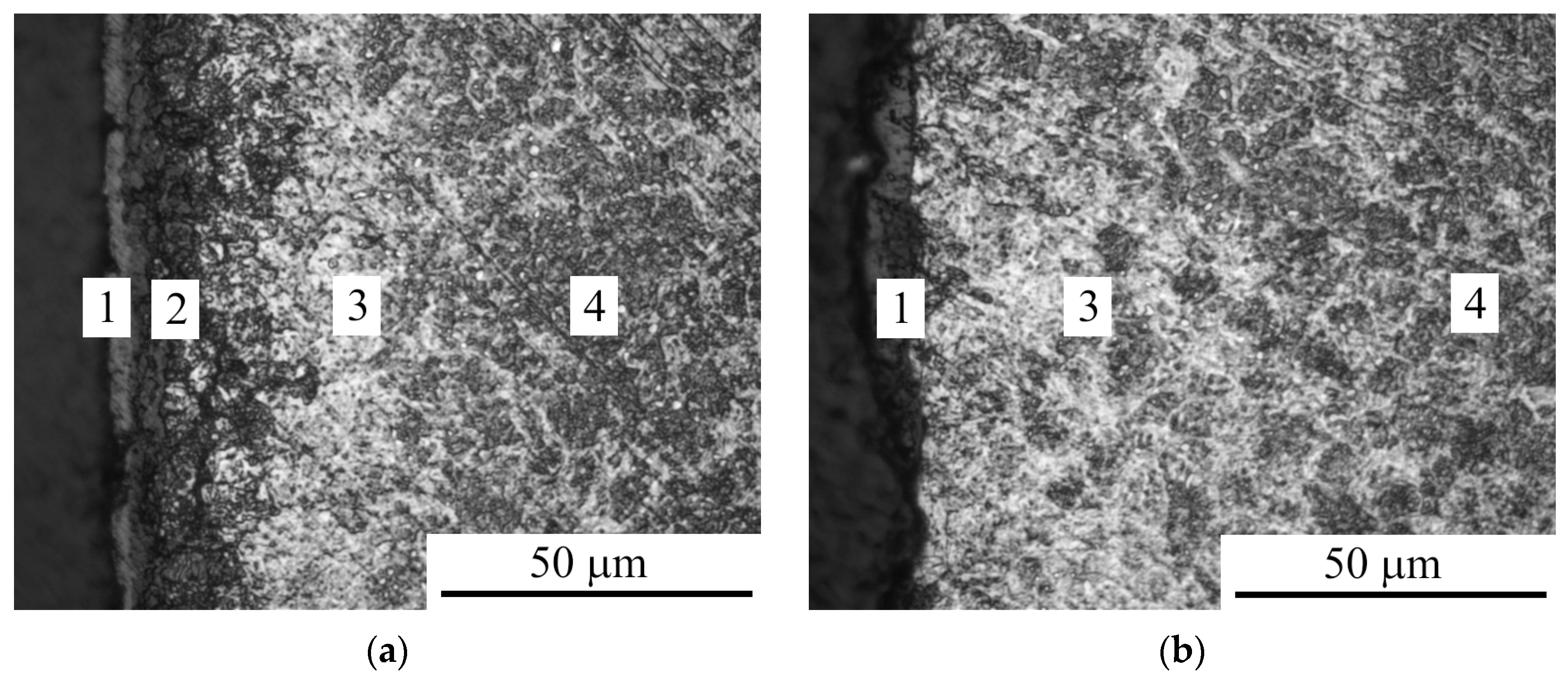 Metals 14 00994 g009