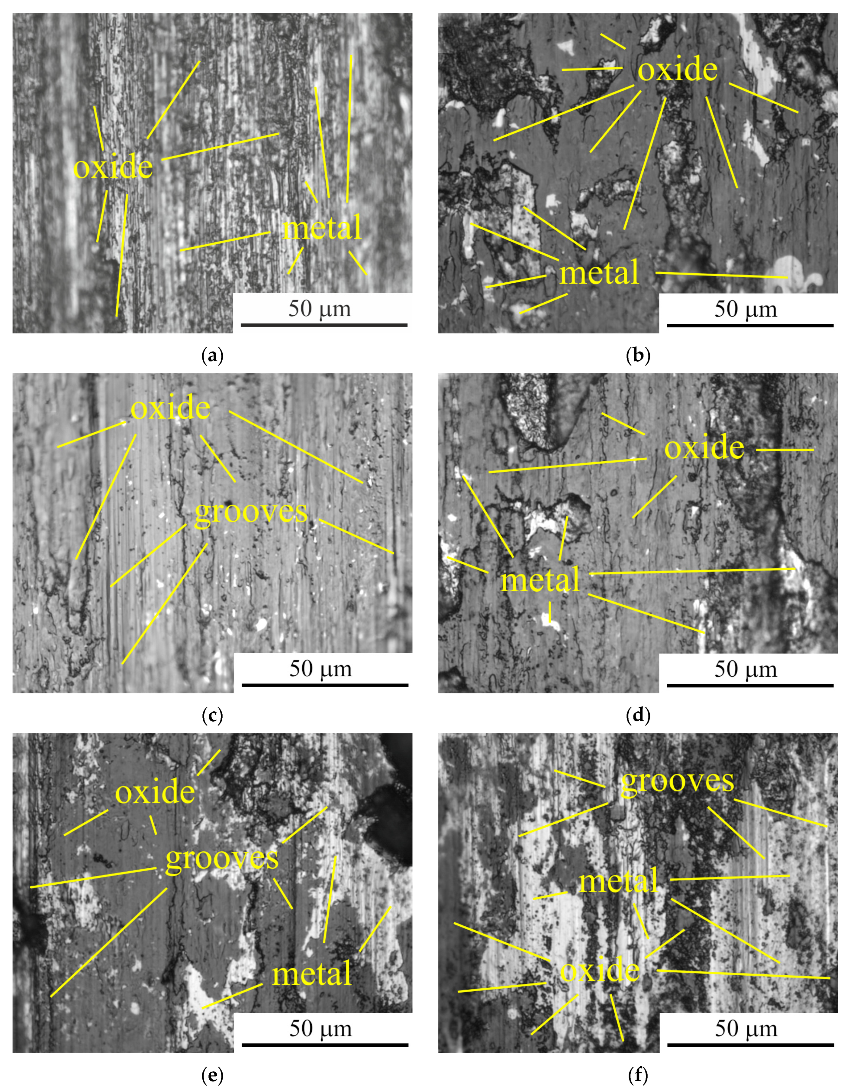 Metals 14 00994 g015