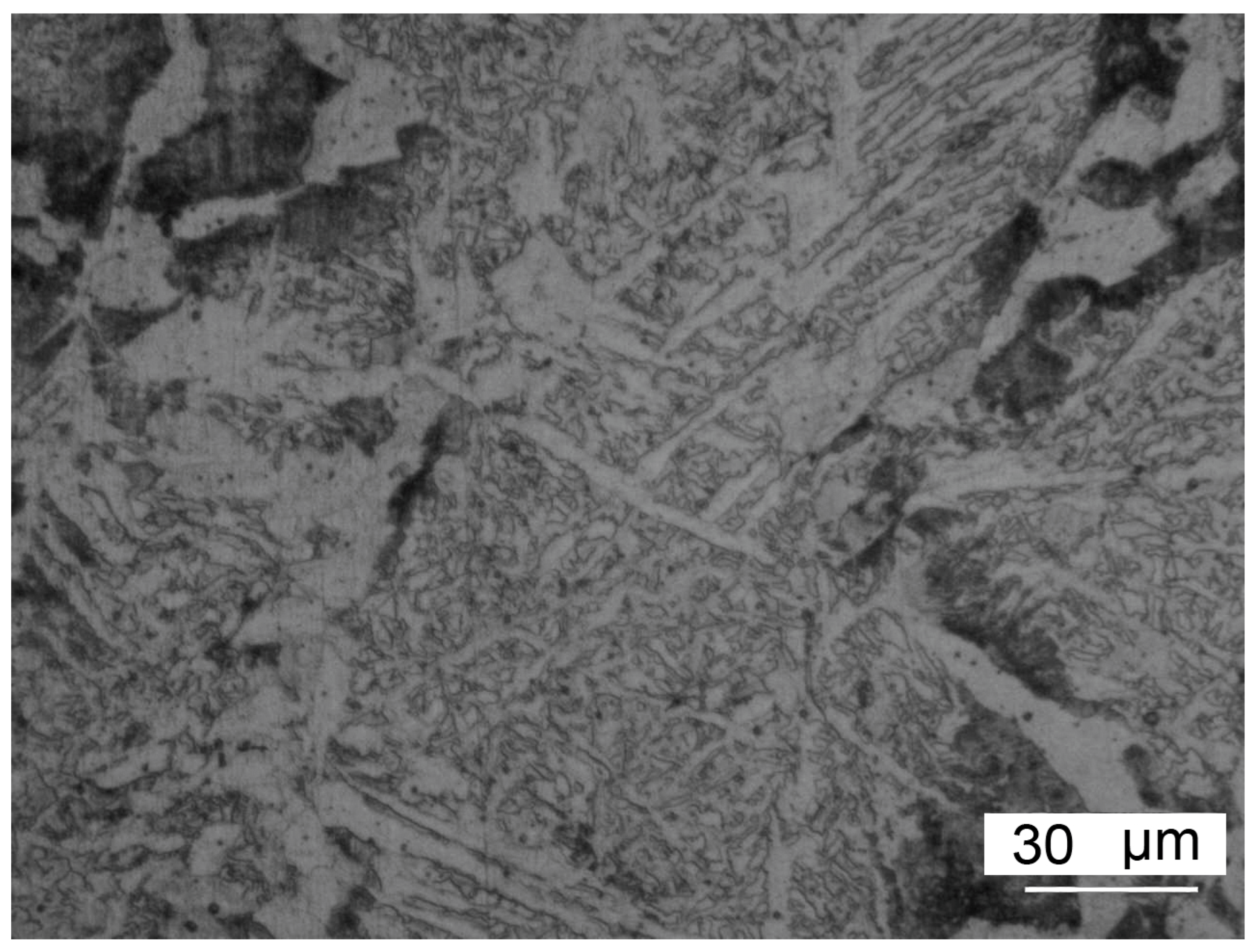 Metals 14 00995 g010