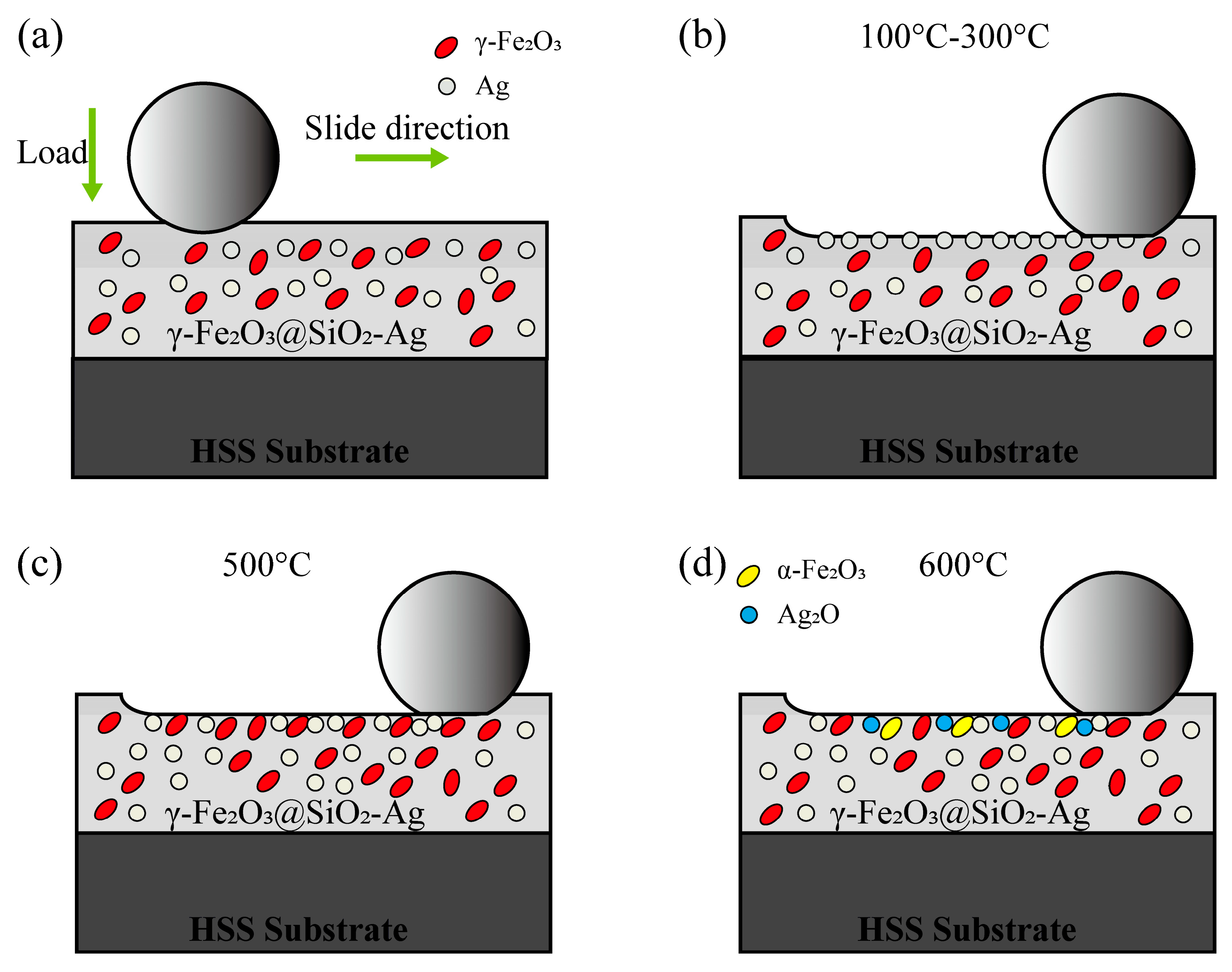 Metals 14 00996 g020