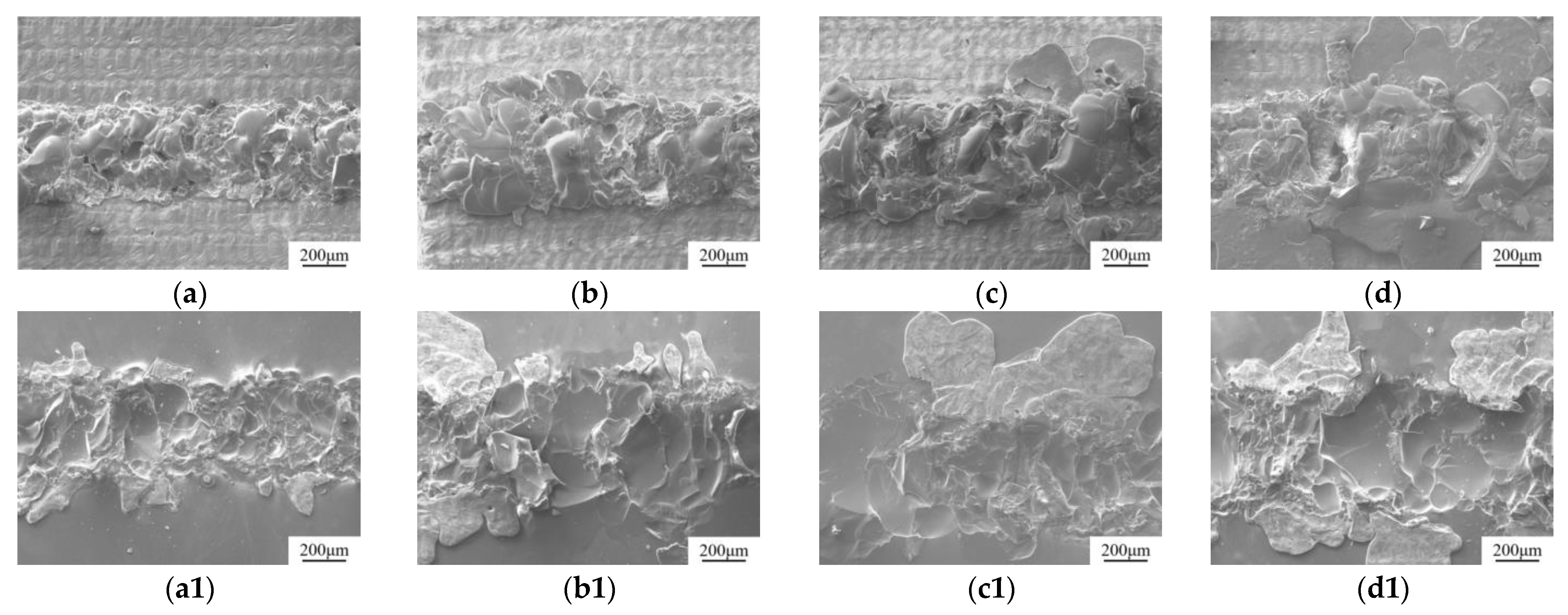 Metals 14 01001 g010