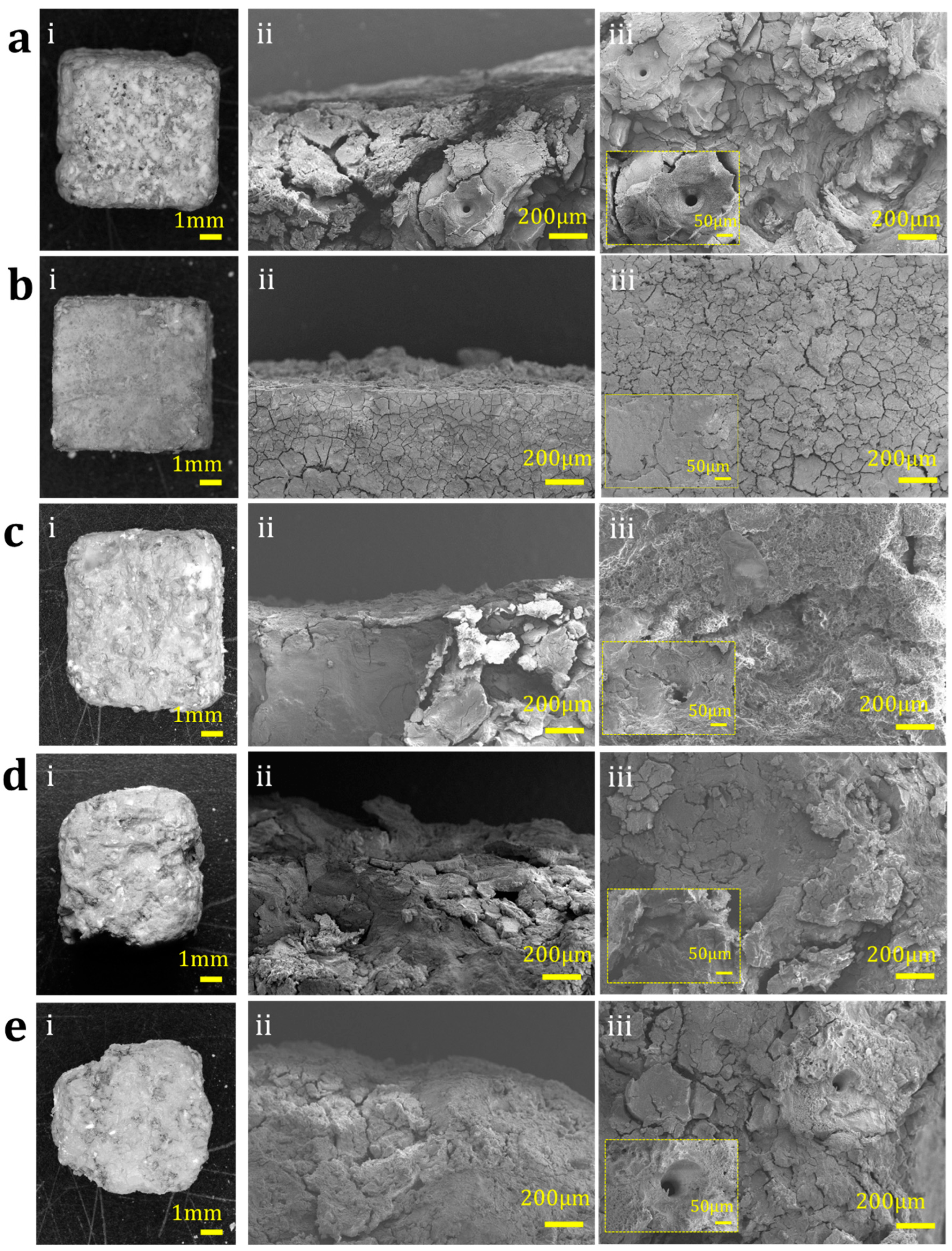 Metals 14 01002 g011