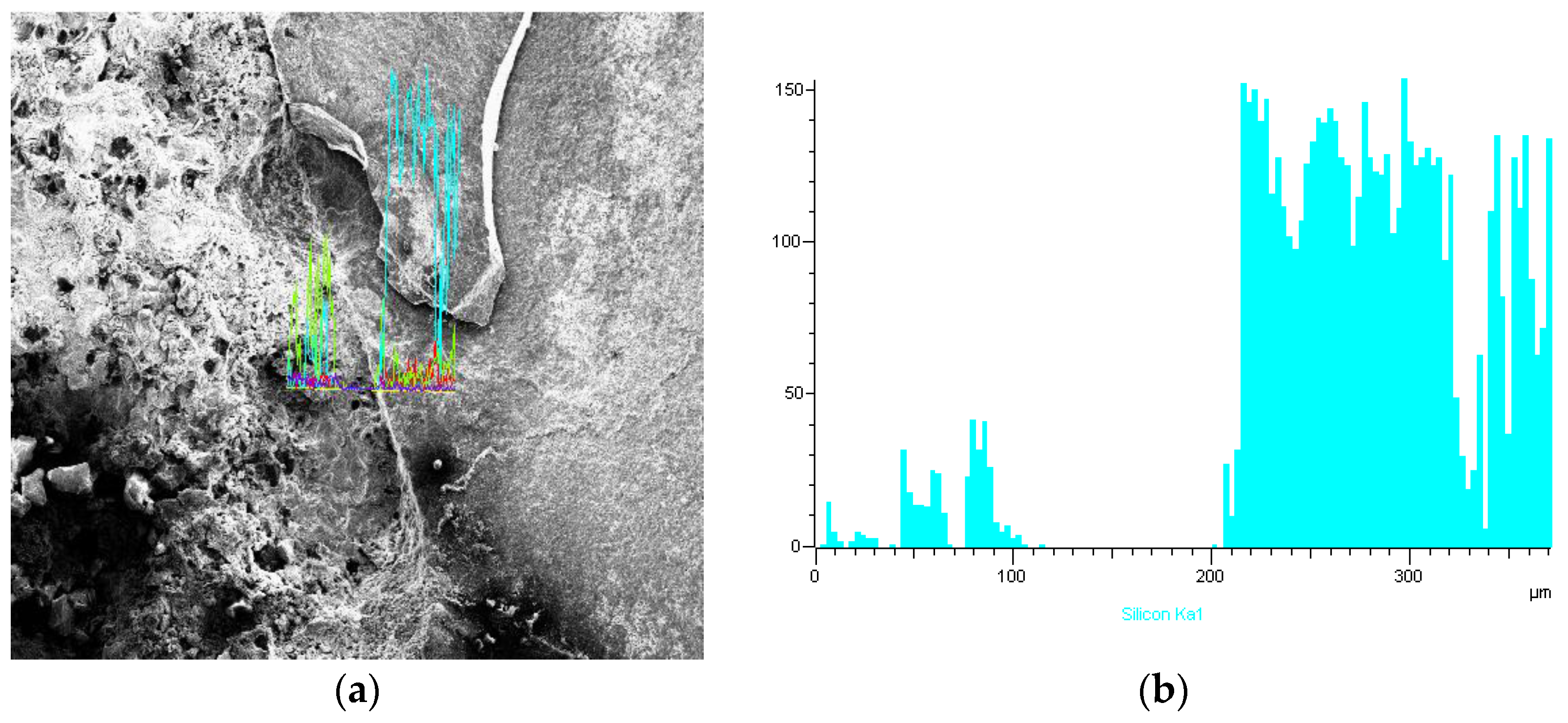 Metals 14 01003 g007a Metals 14 01003 g007a