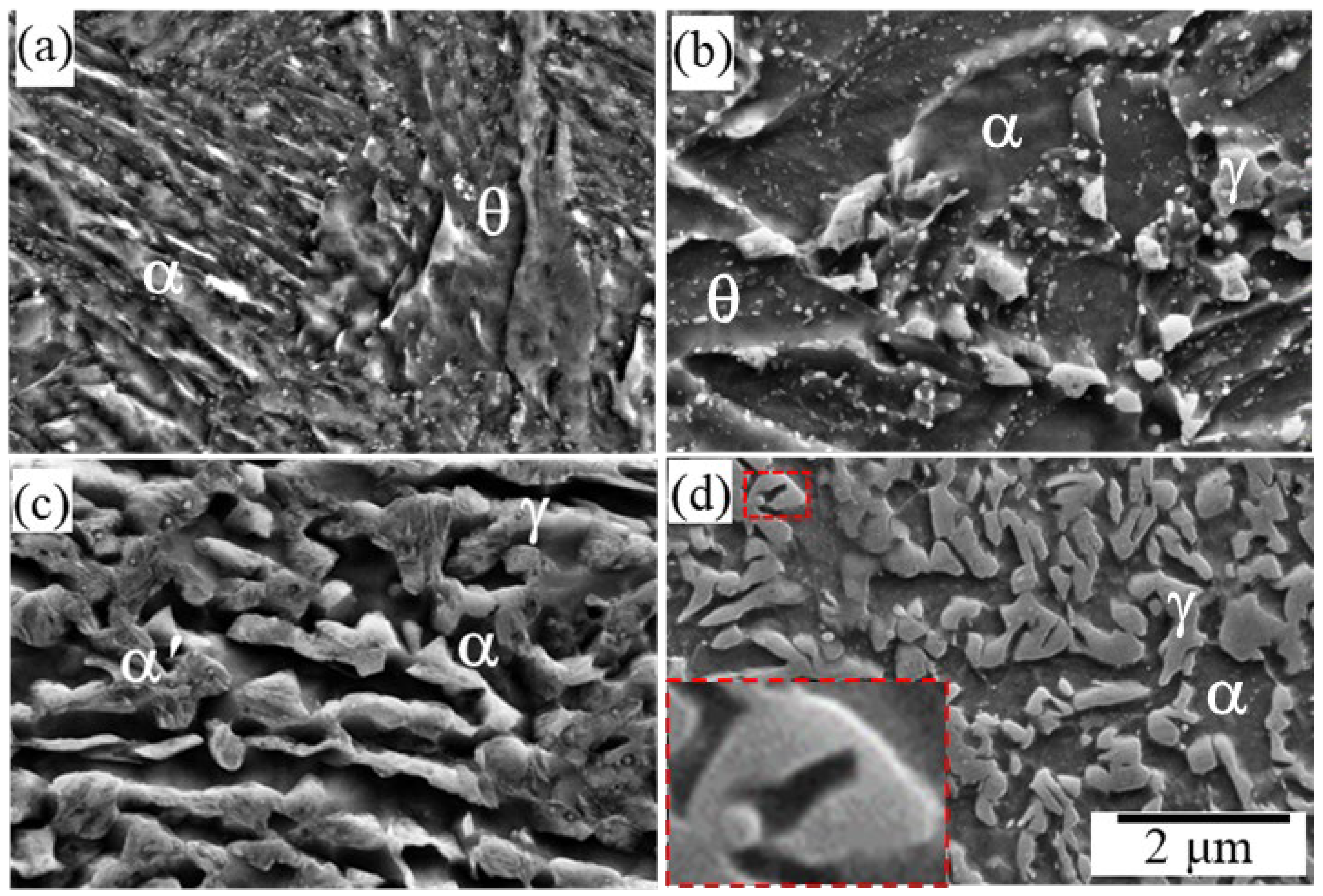 Metals 14 01008 g003