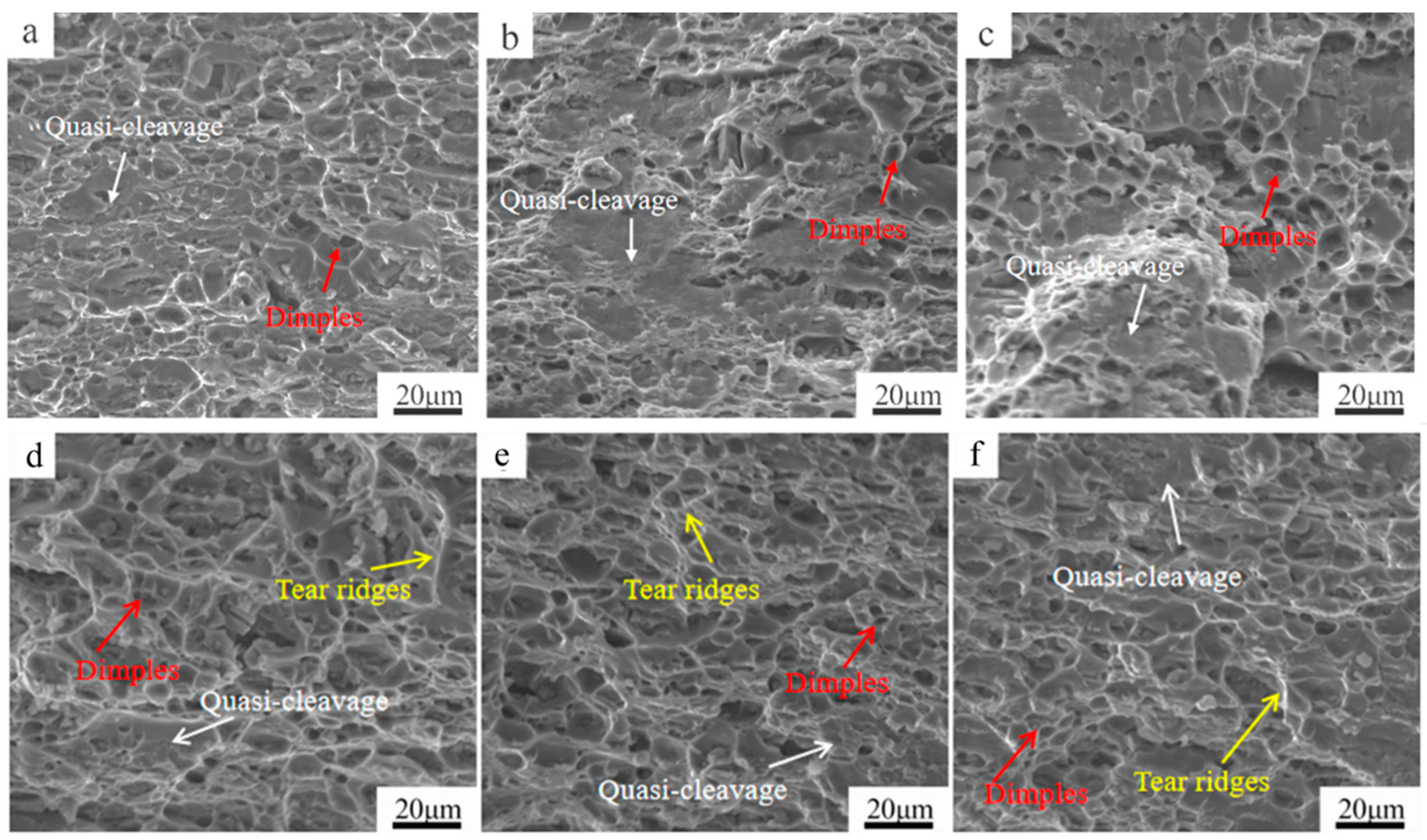 Metals 14 01013 g015