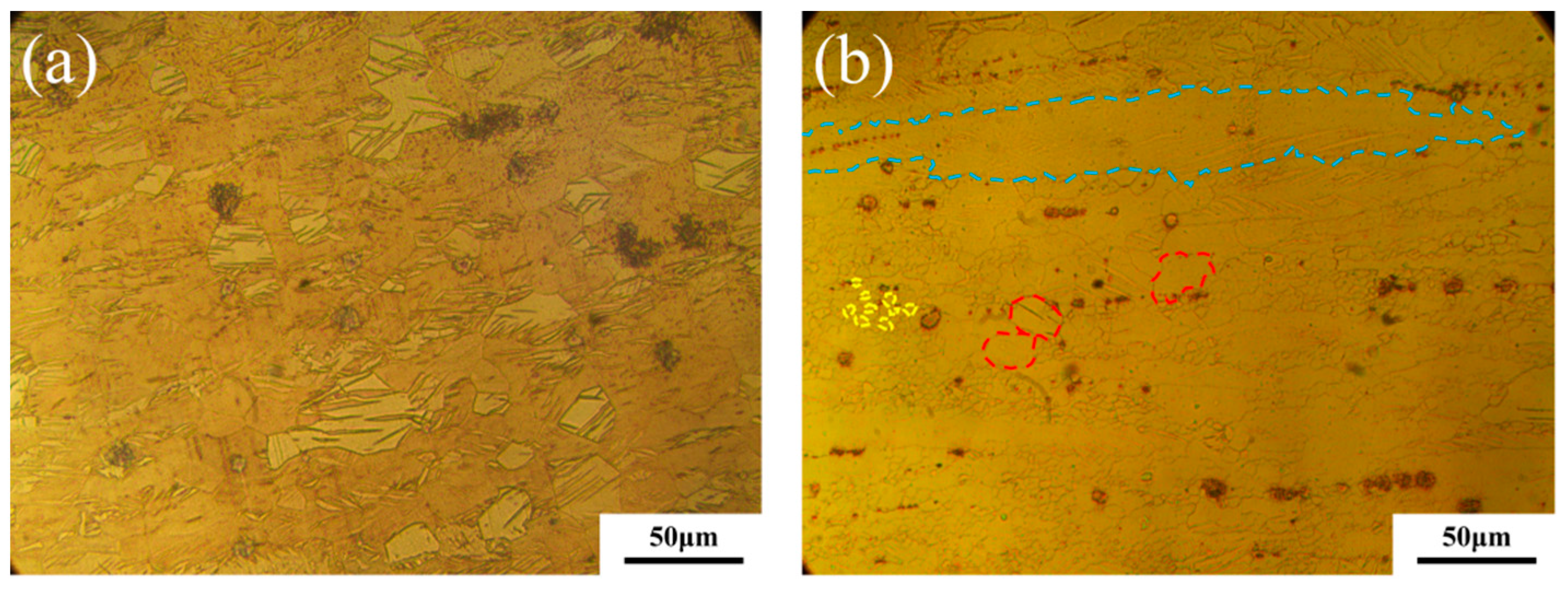 Metals 14 01014 g002