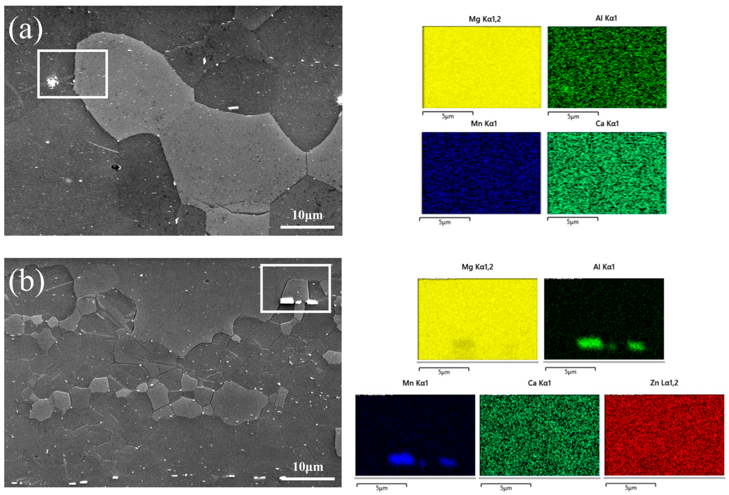 Metals 14 01014 g004