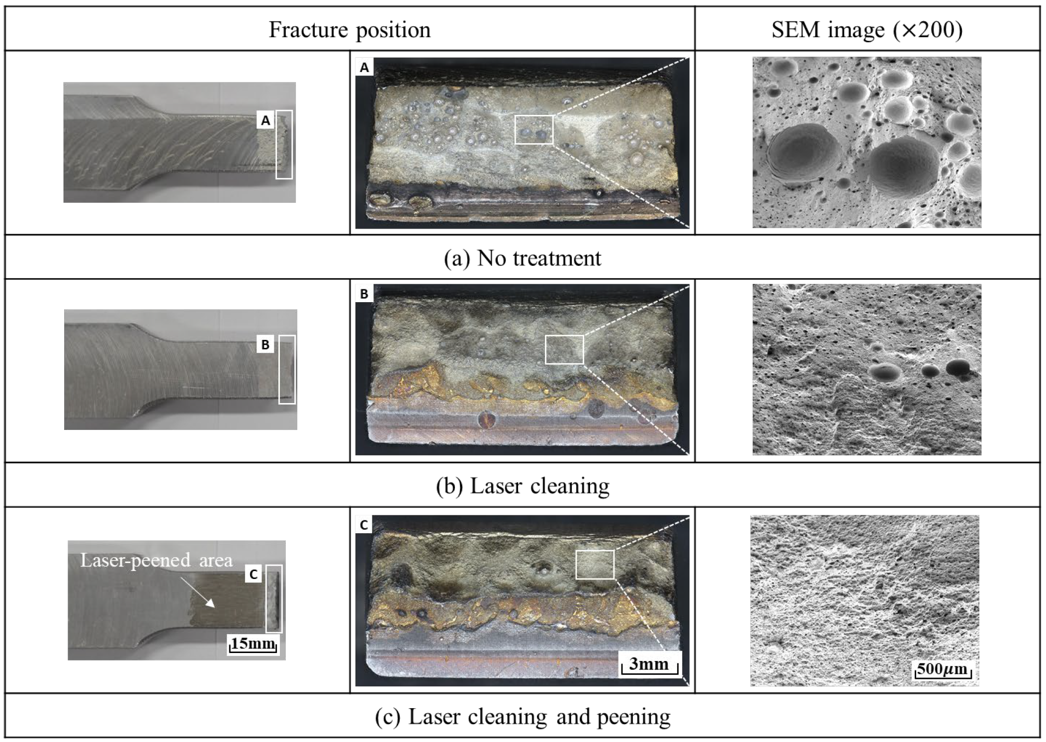 Metals 14 01021 g010