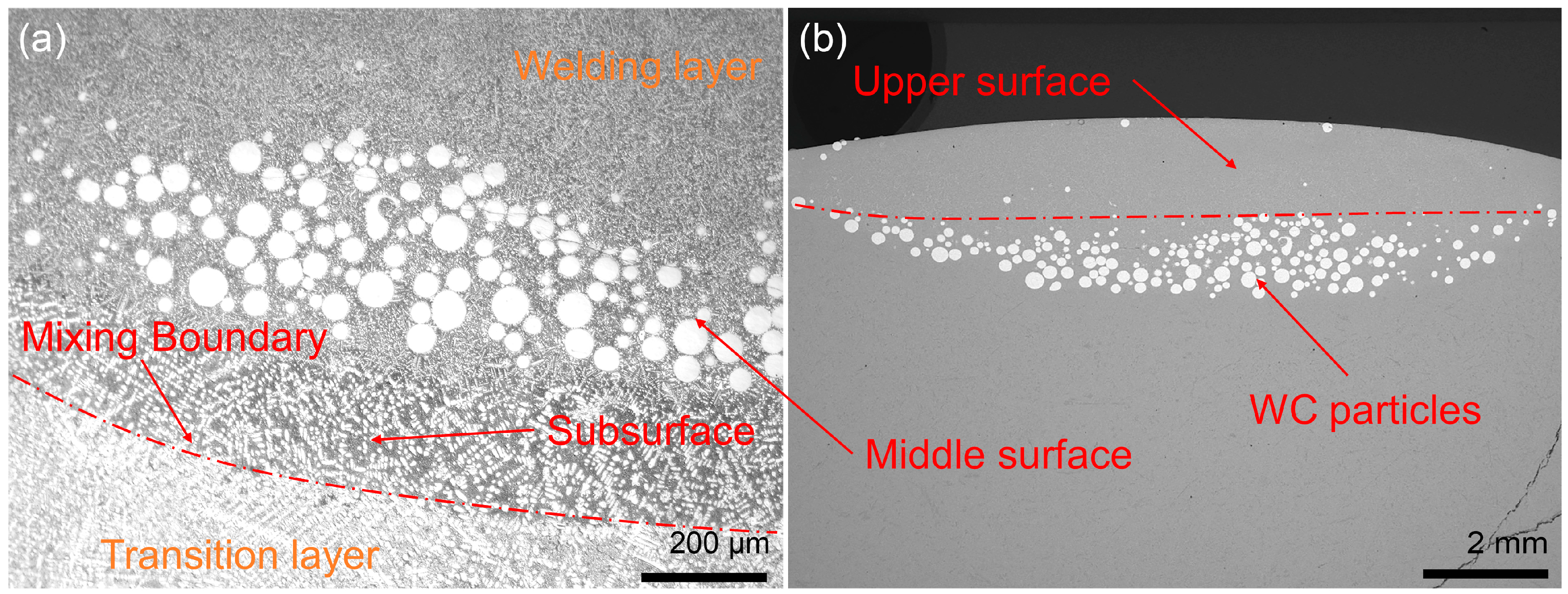 Metals 14 01022 g007