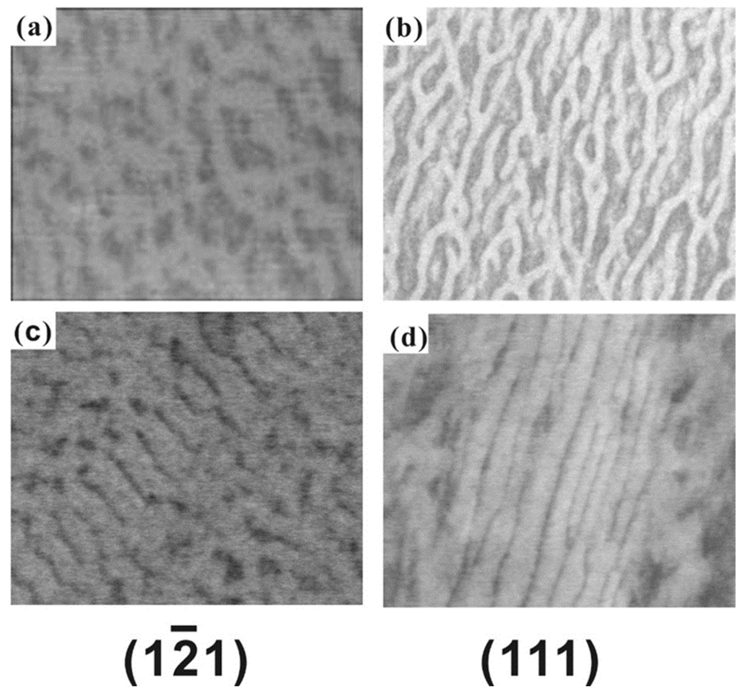 Metals 14 01023 g003