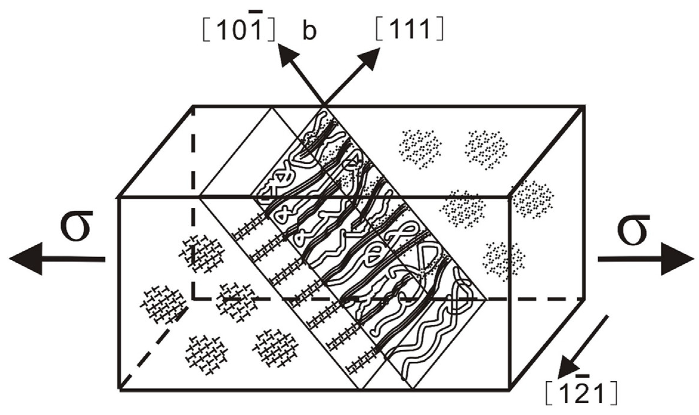 Metals 14 01023 g004