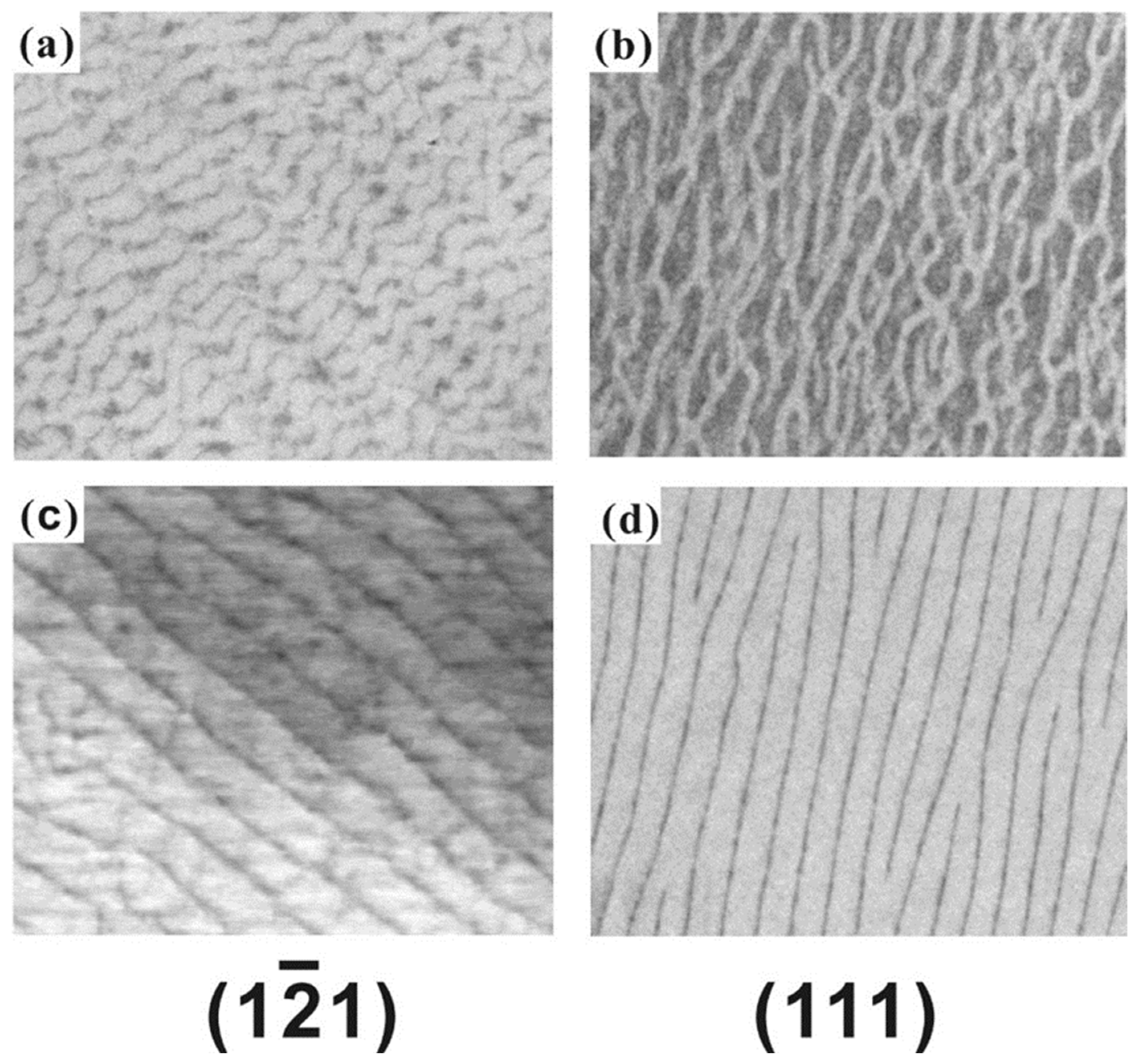 Metals 14 01023 g005