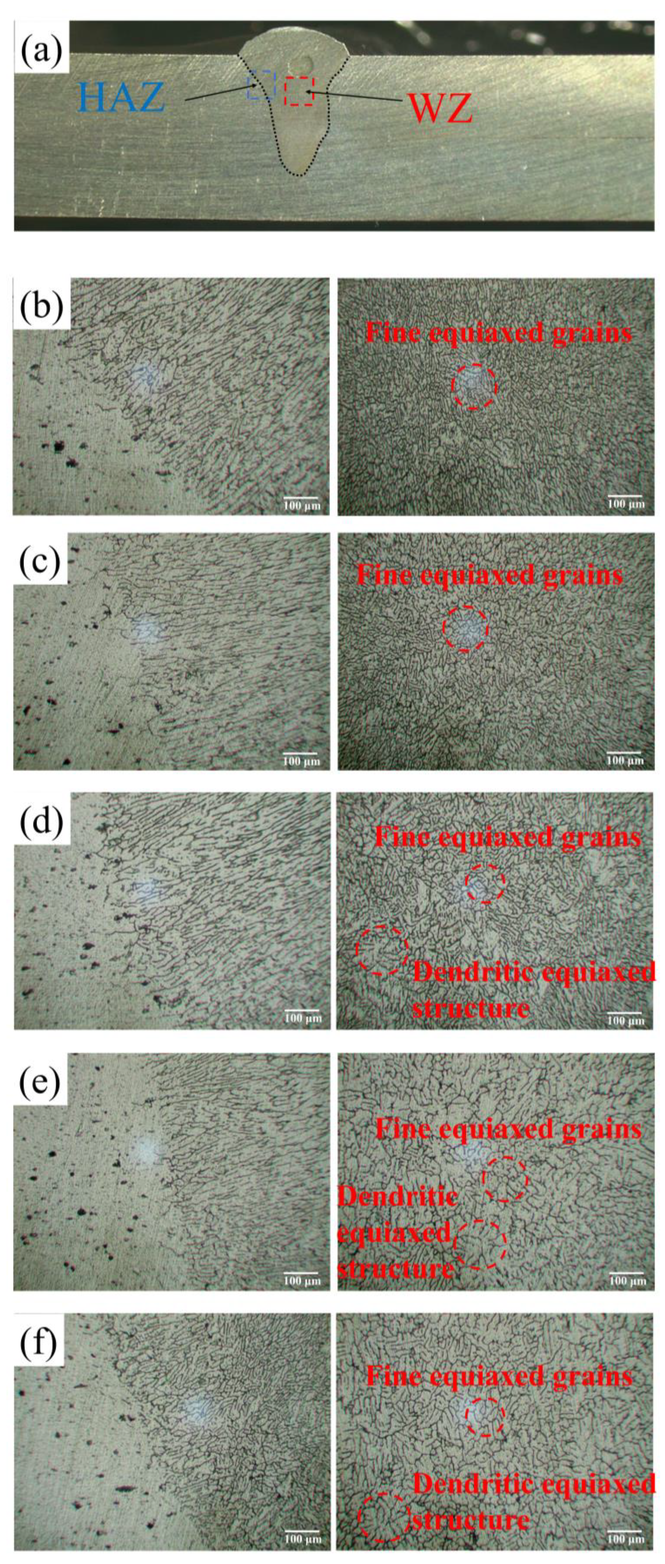 Metals 14 01030 g006