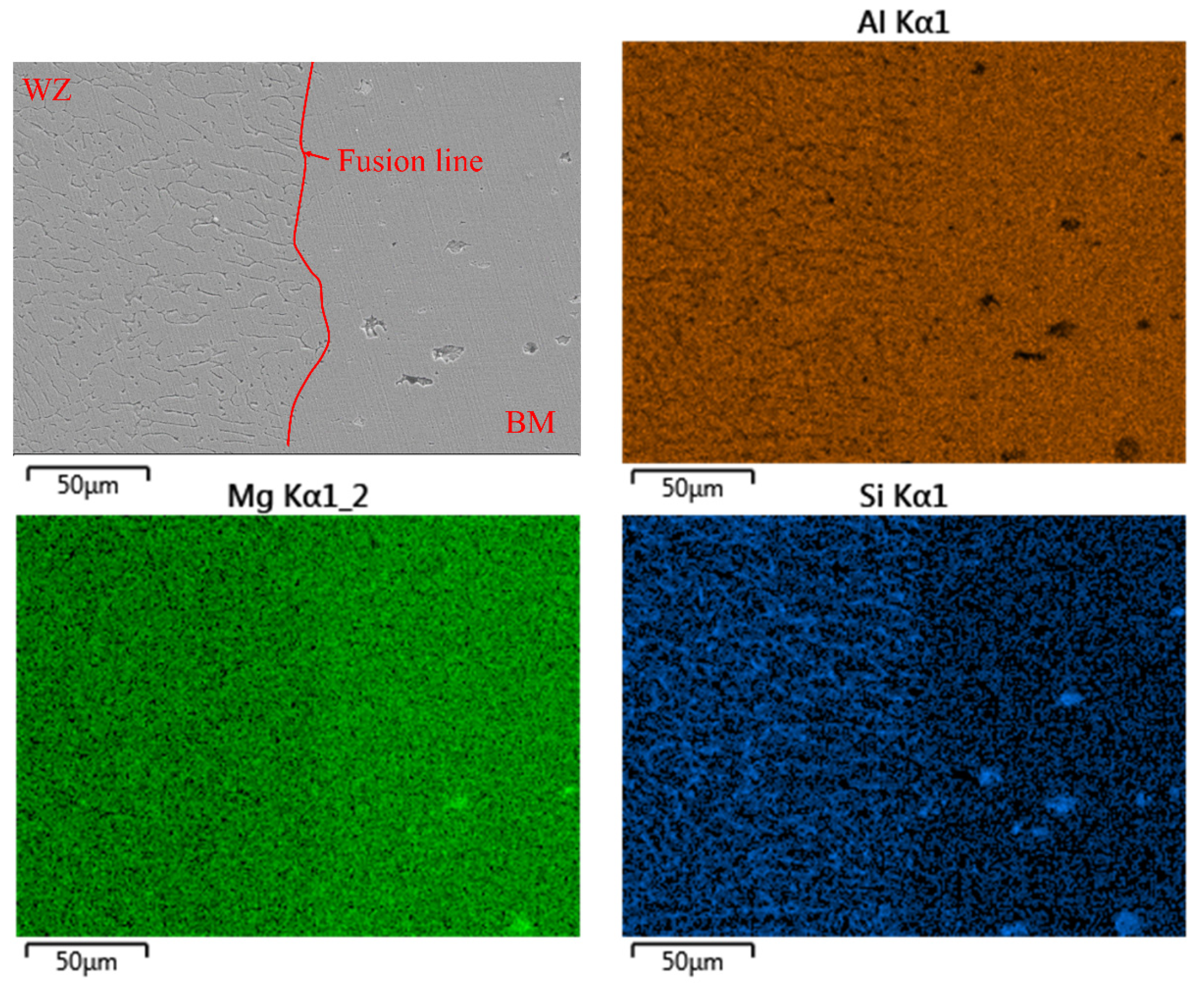 Metals 14 01030 g009