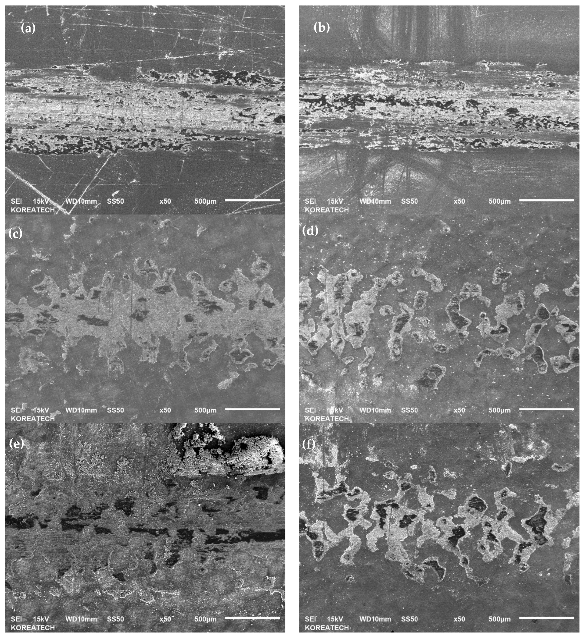 Metals 14 01037 g008