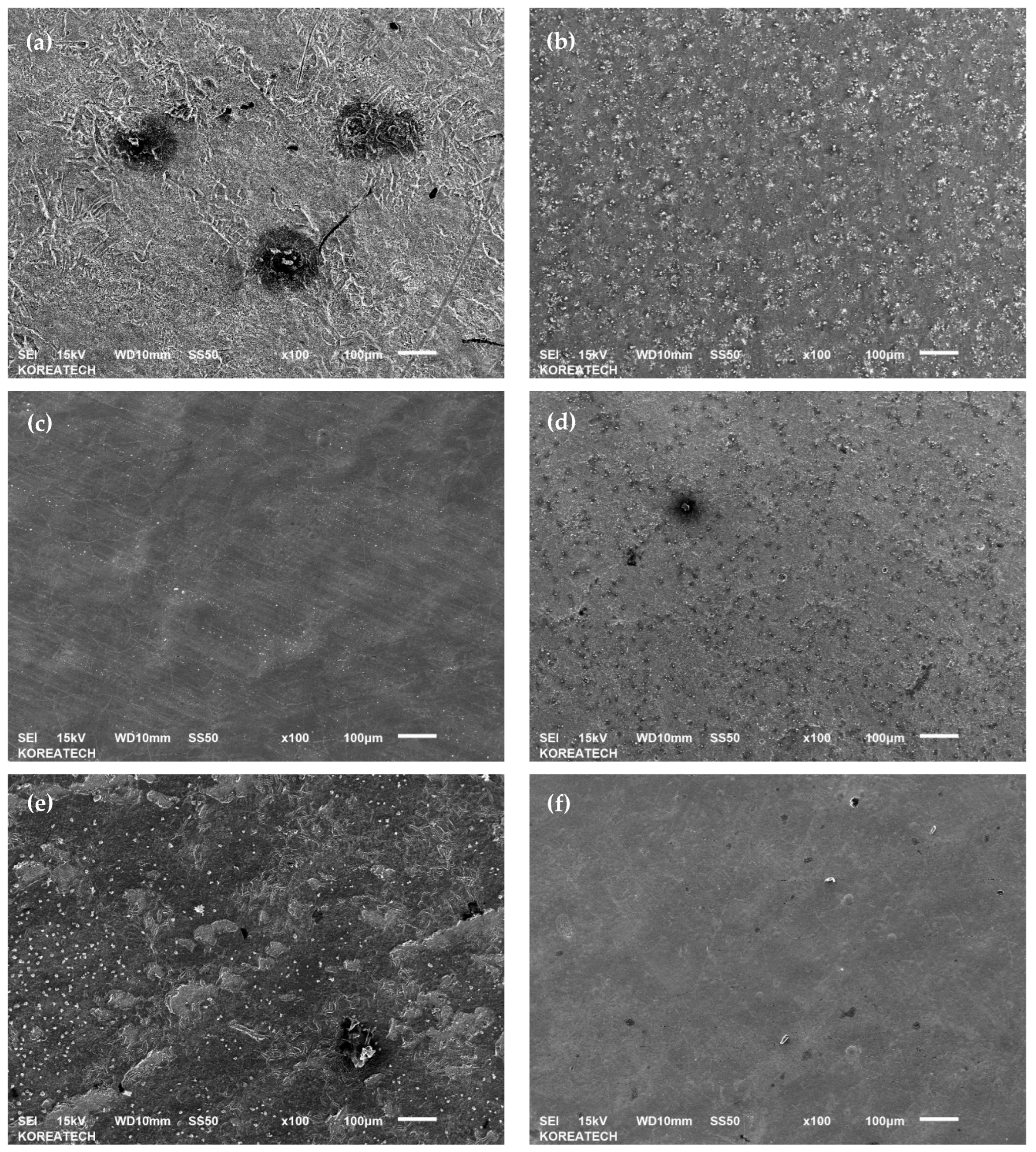 Metals 14 01037 g011