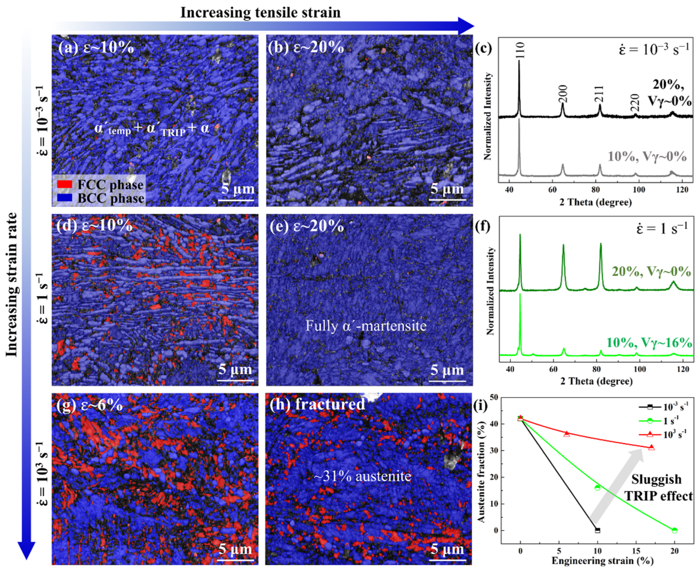 Metals 14 01042 g003