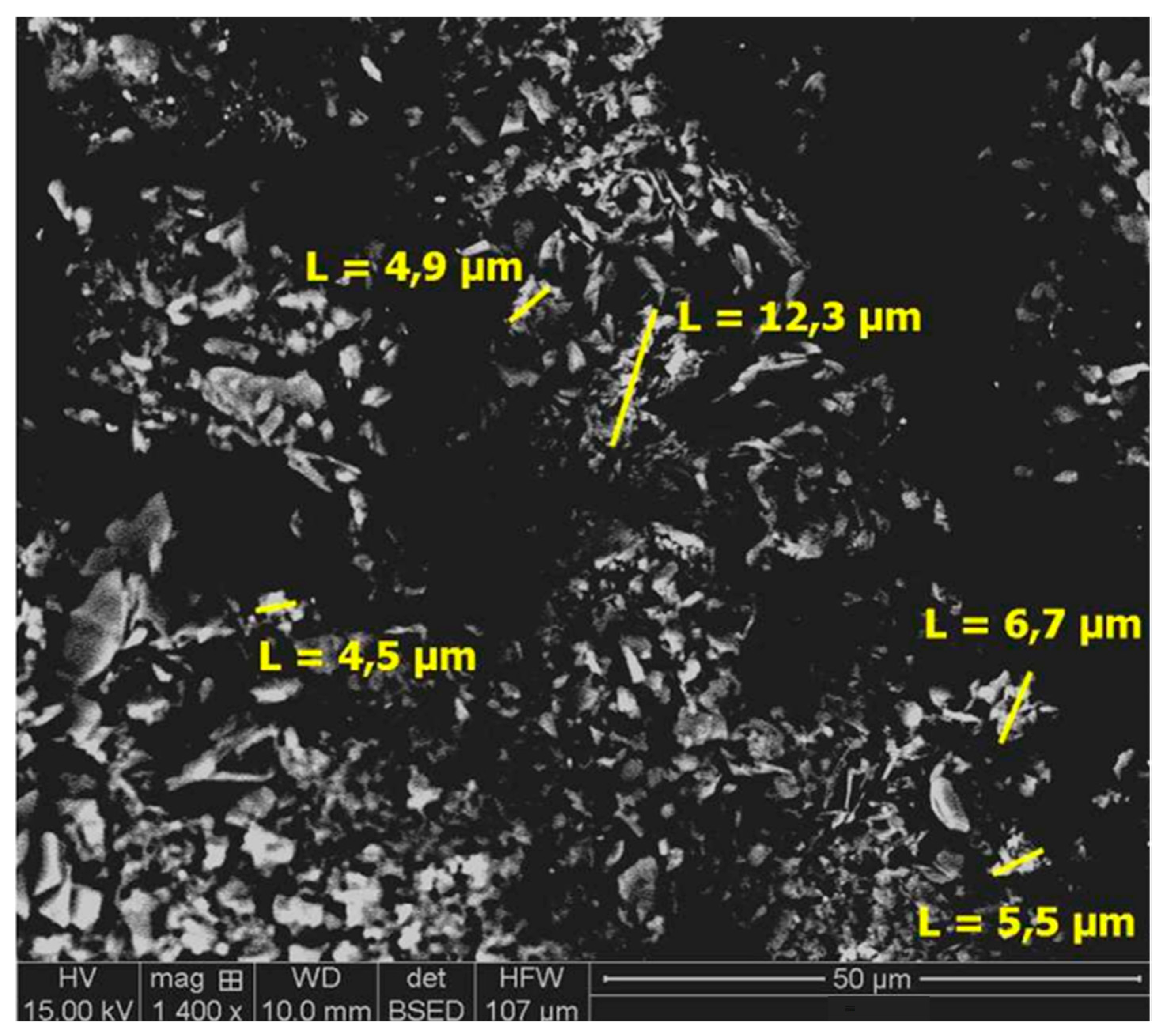 Metals 14 01044 g009