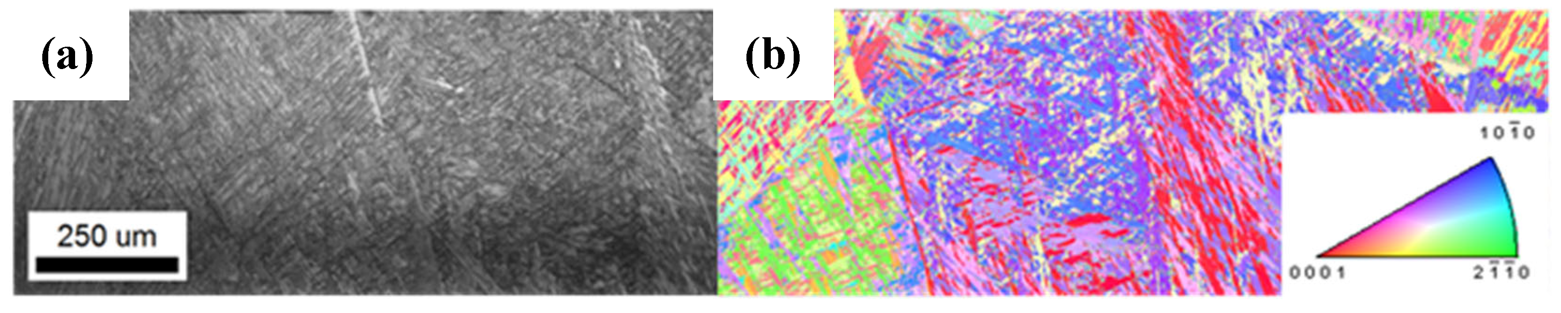 Metals 14 01045 g003