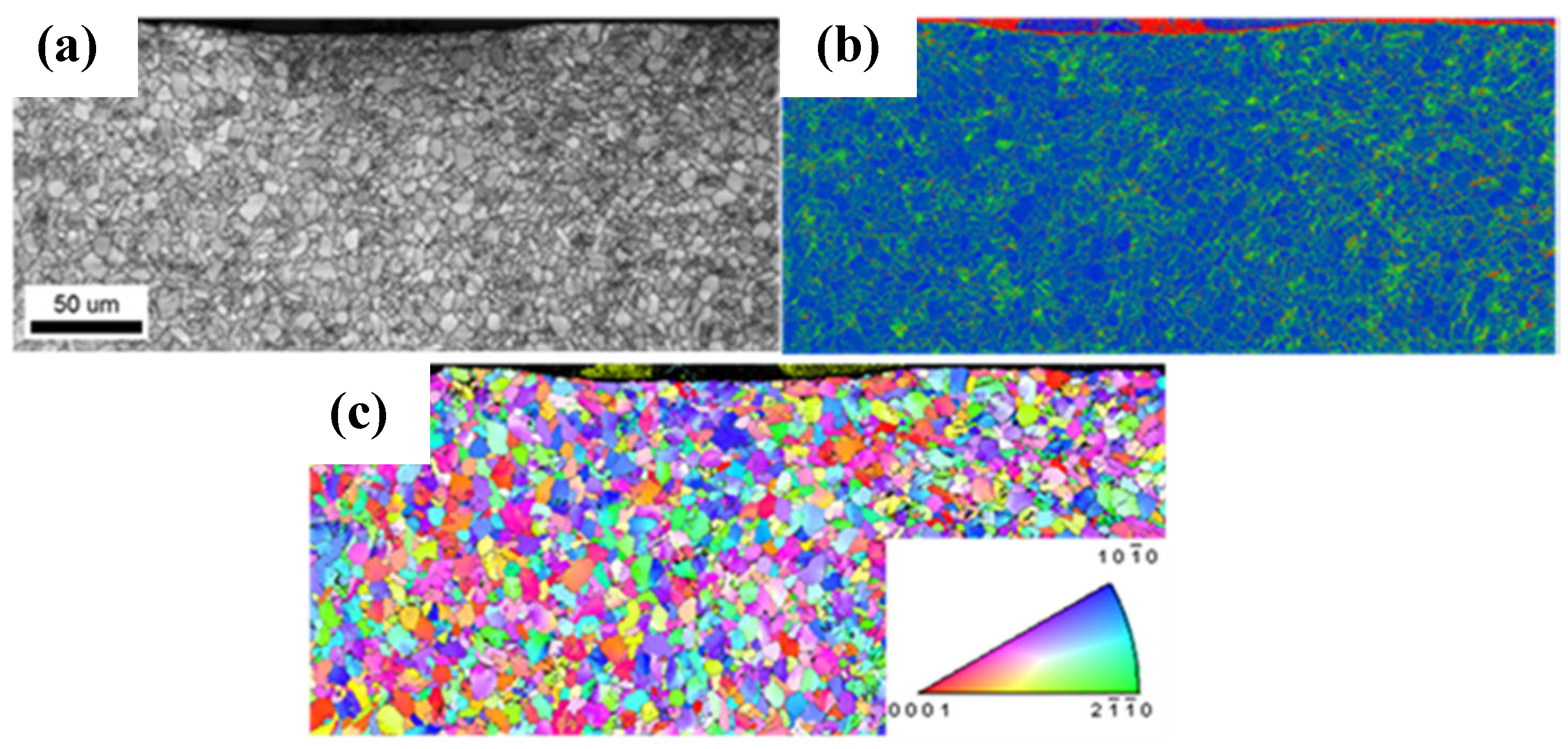 Metals 14 01045 g007
