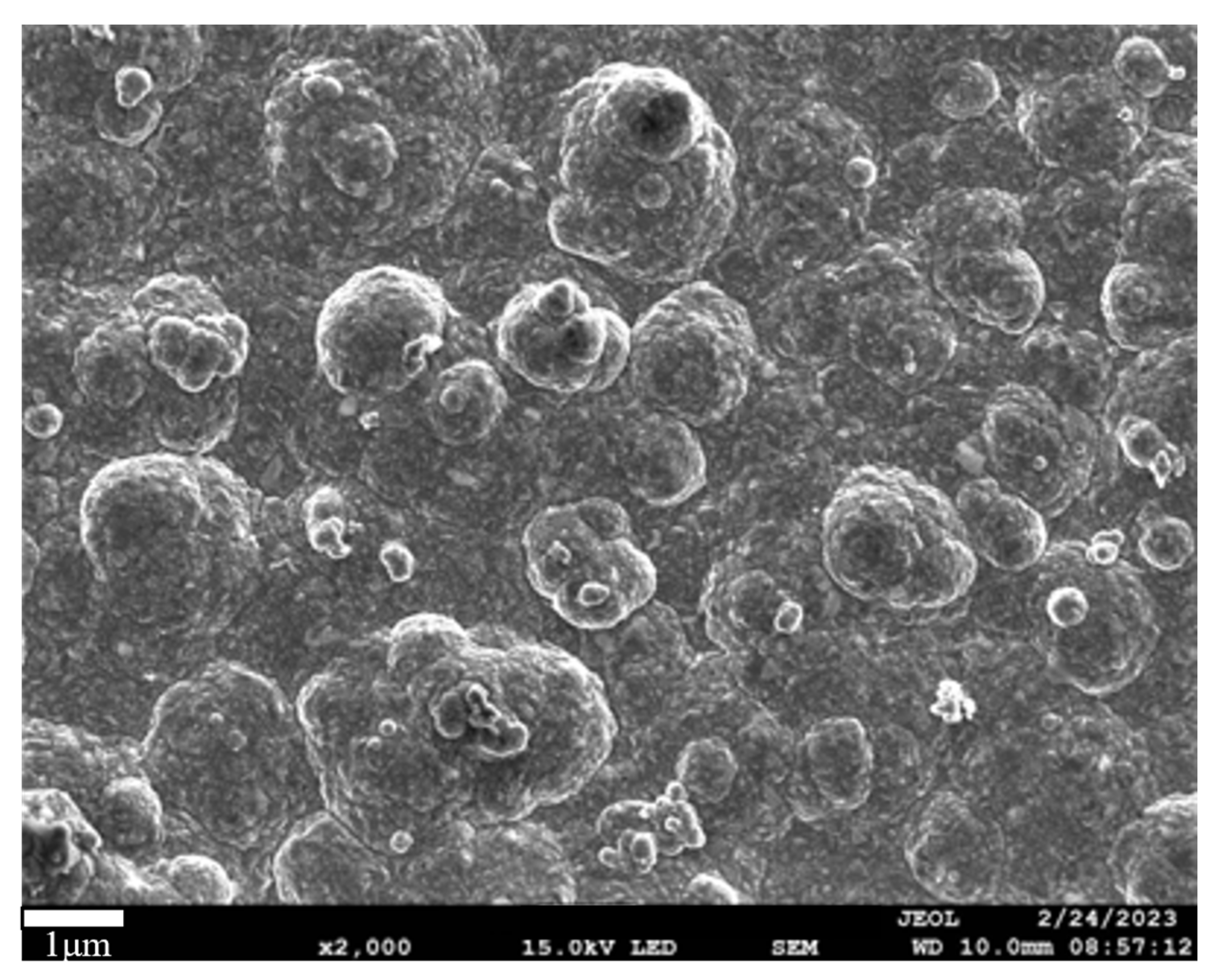 Metals 14 01047 g027