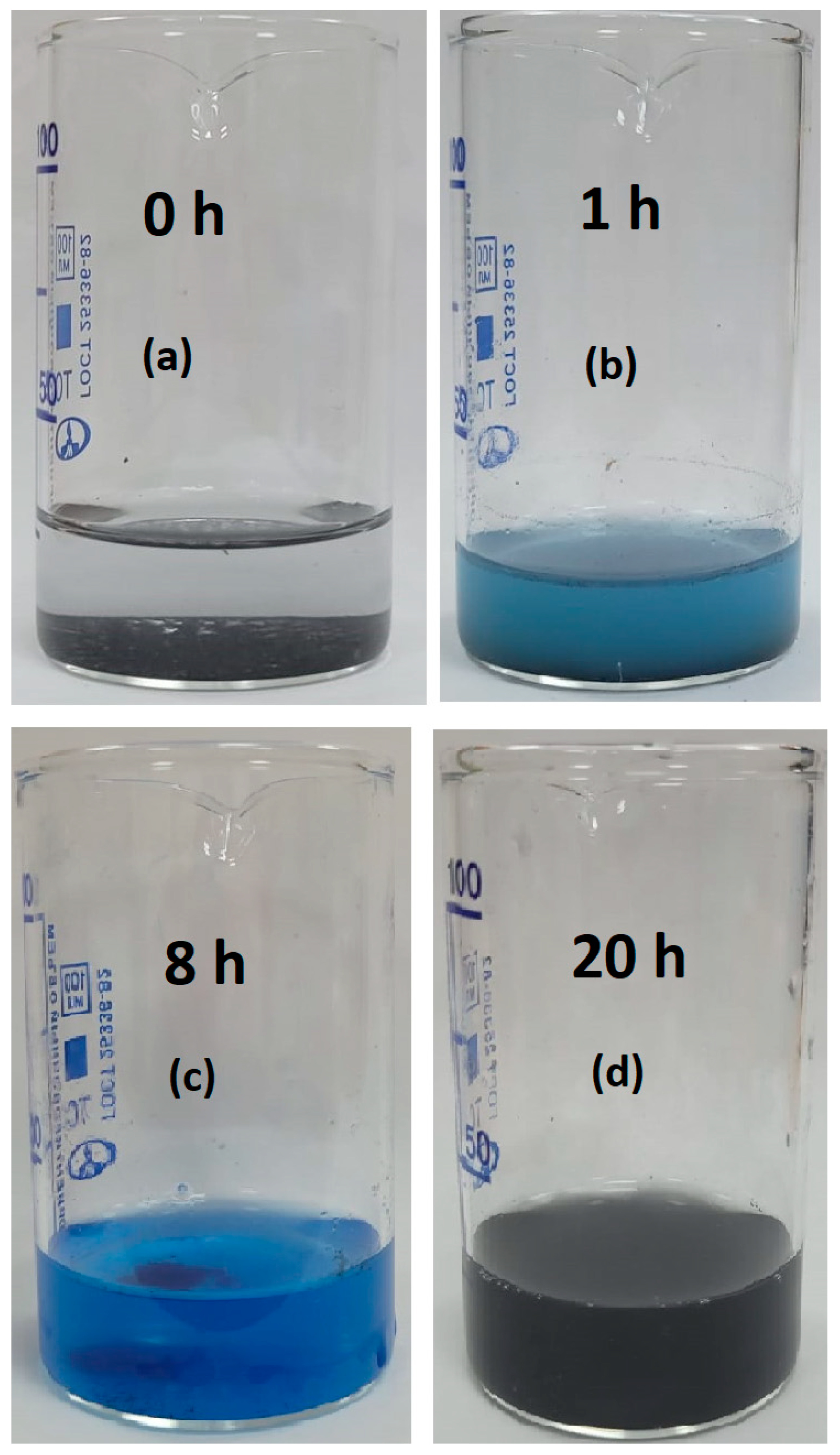 Metals 14 01052 g008