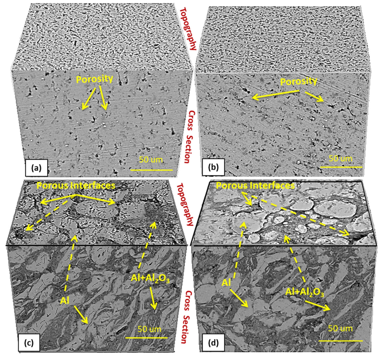 Metals 14 01057 g005