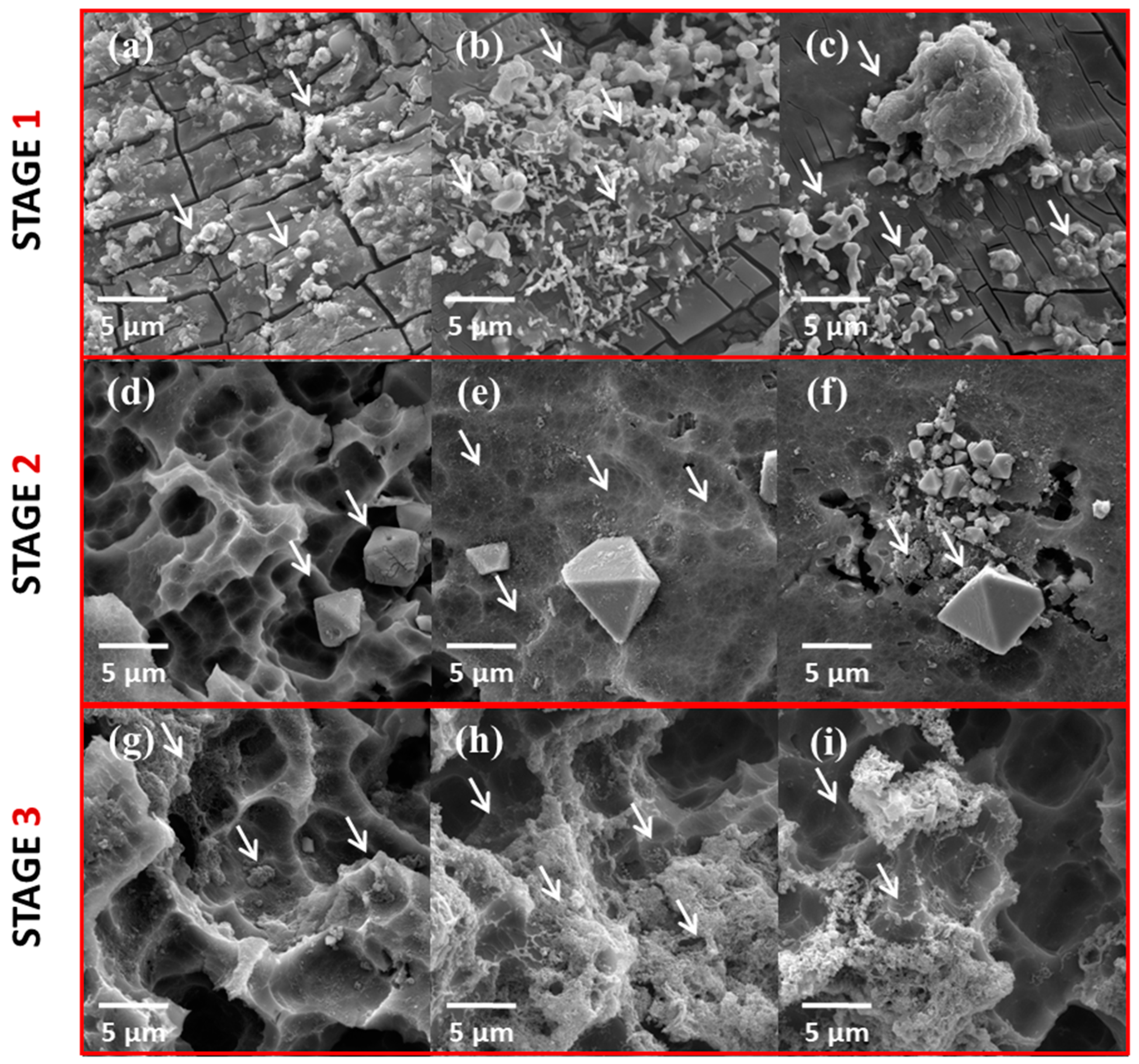 Metals 14 01060 g003