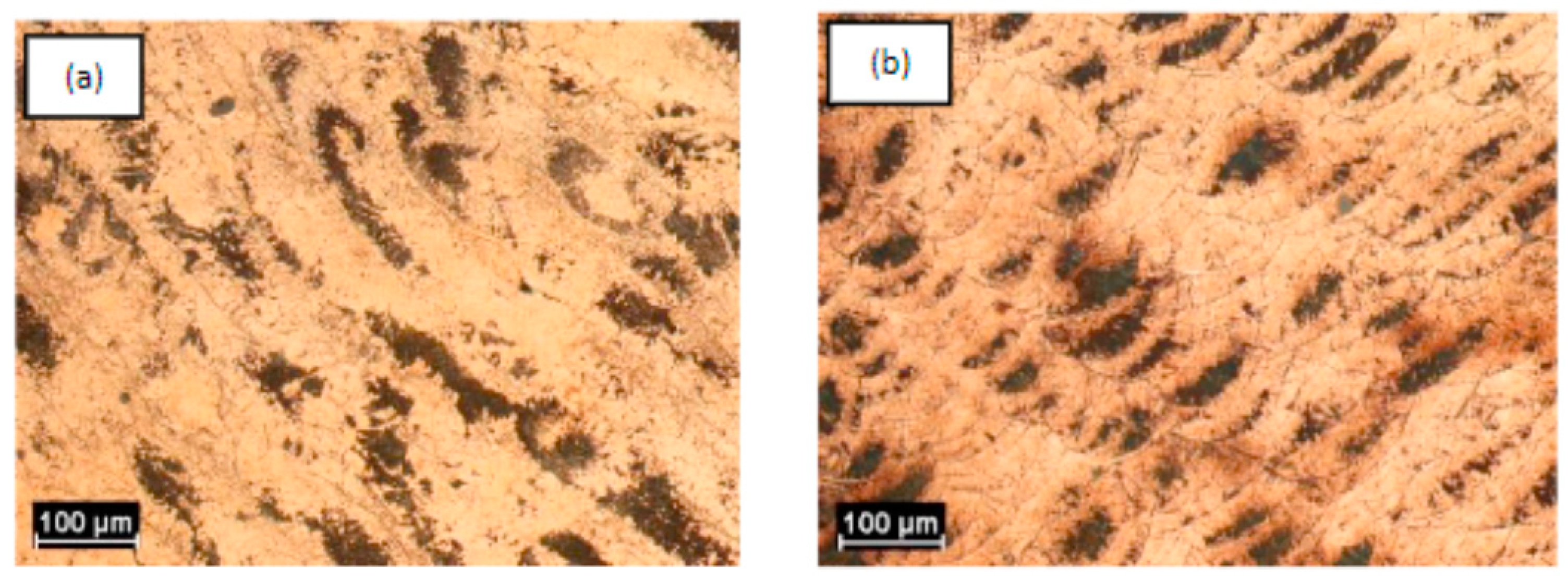 Metals 14 01081 g014