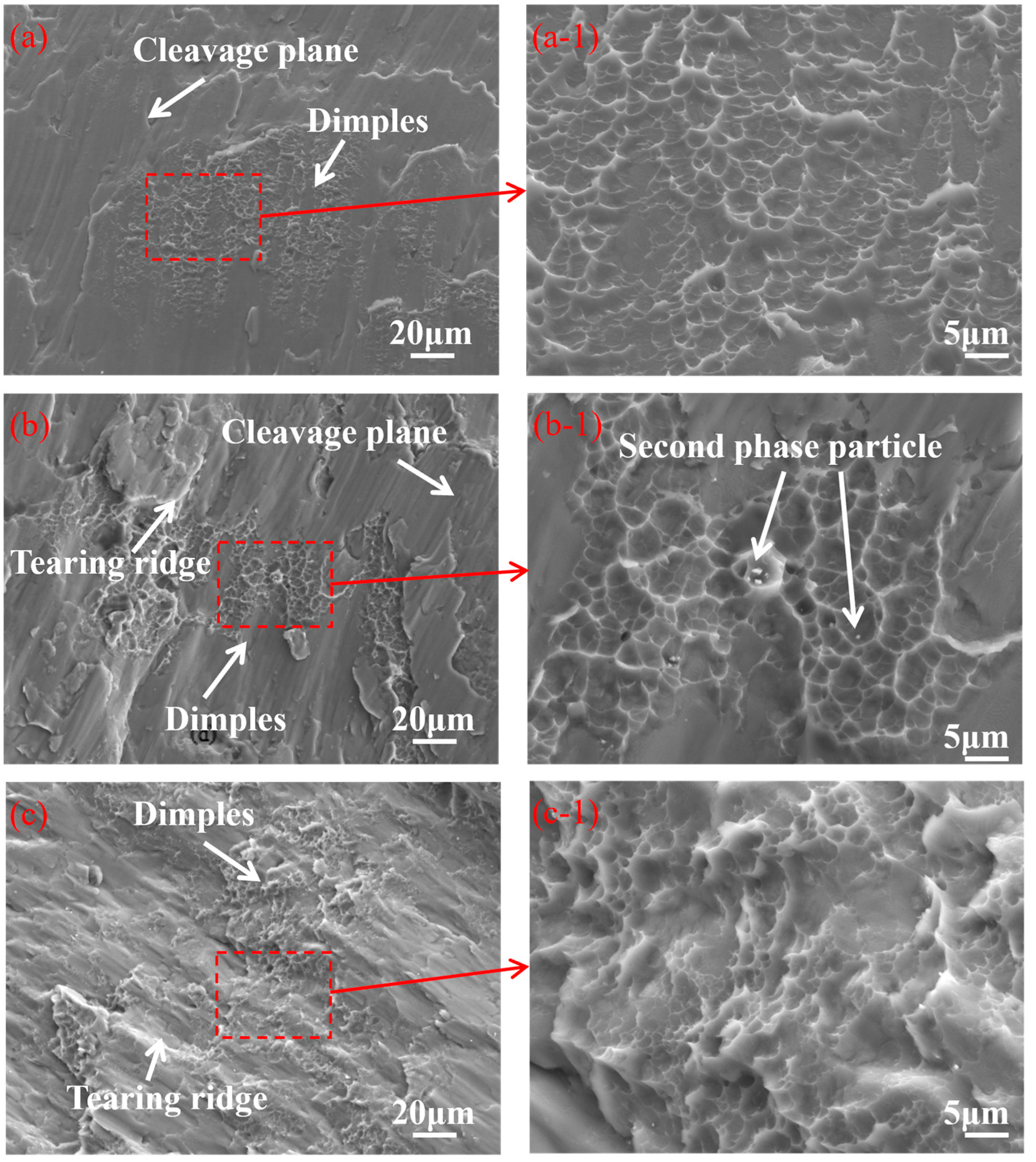 Metals 14 01102 g011