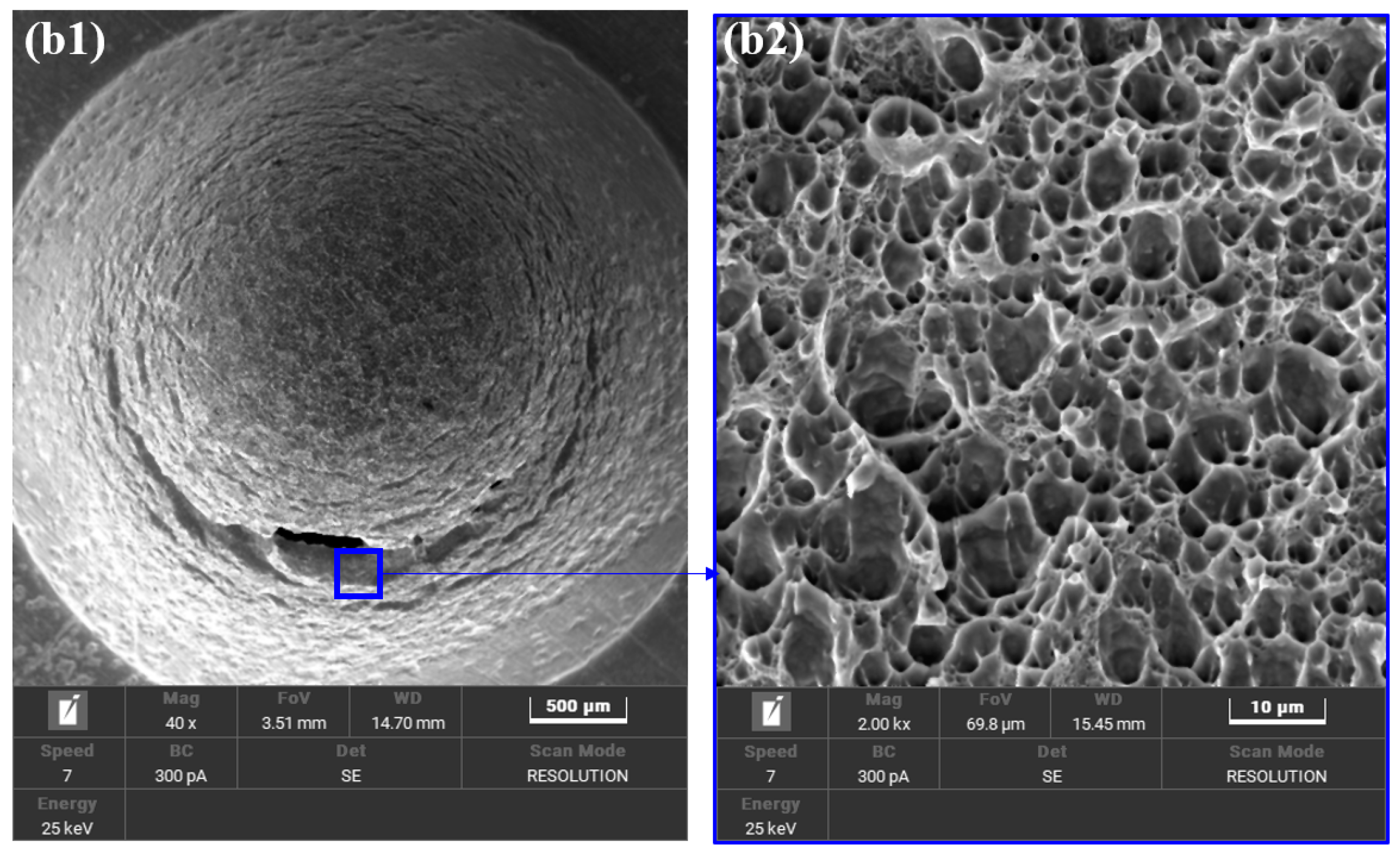 Metals 14 01104 g007b