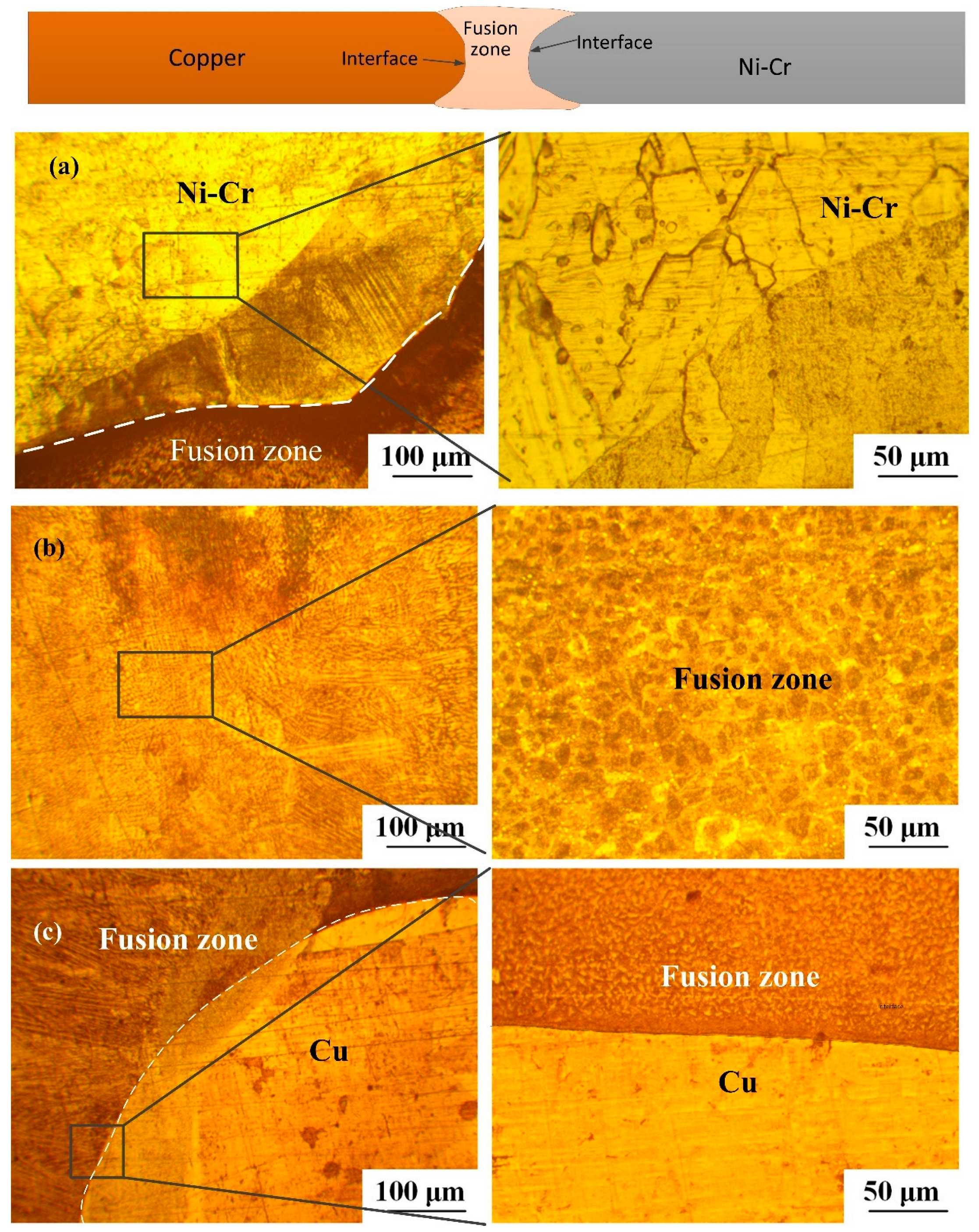 Metals 14 01105 g008