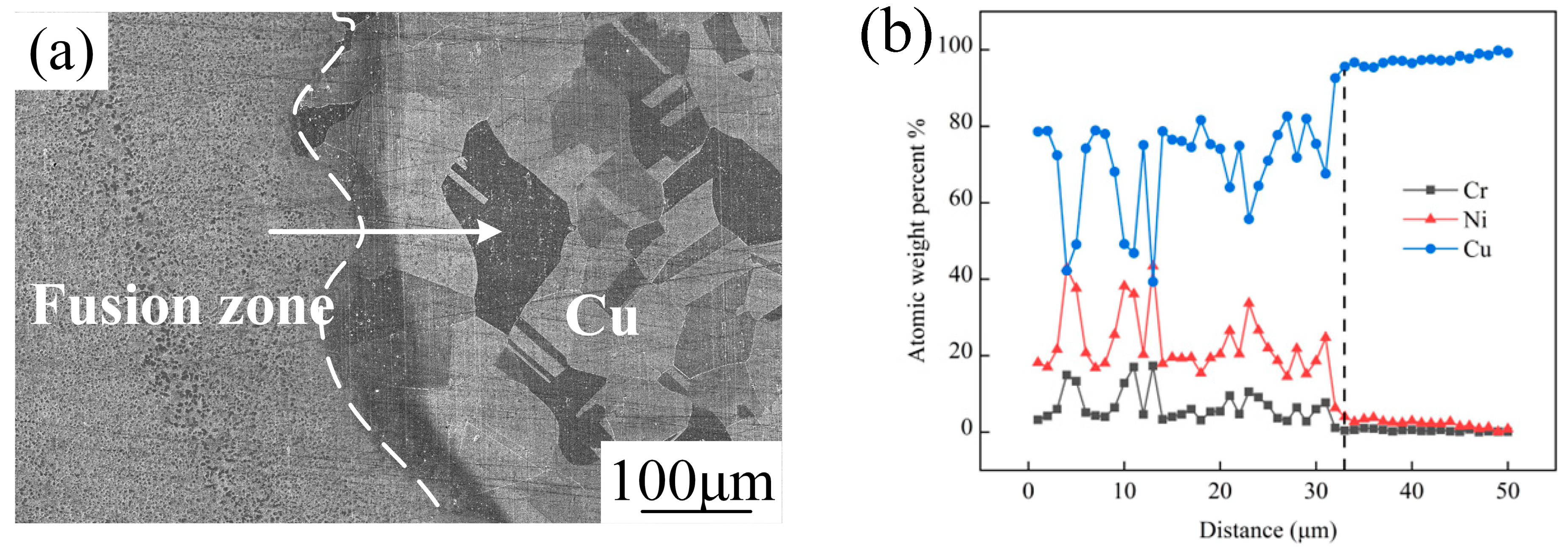 Metals 14 01105 g011