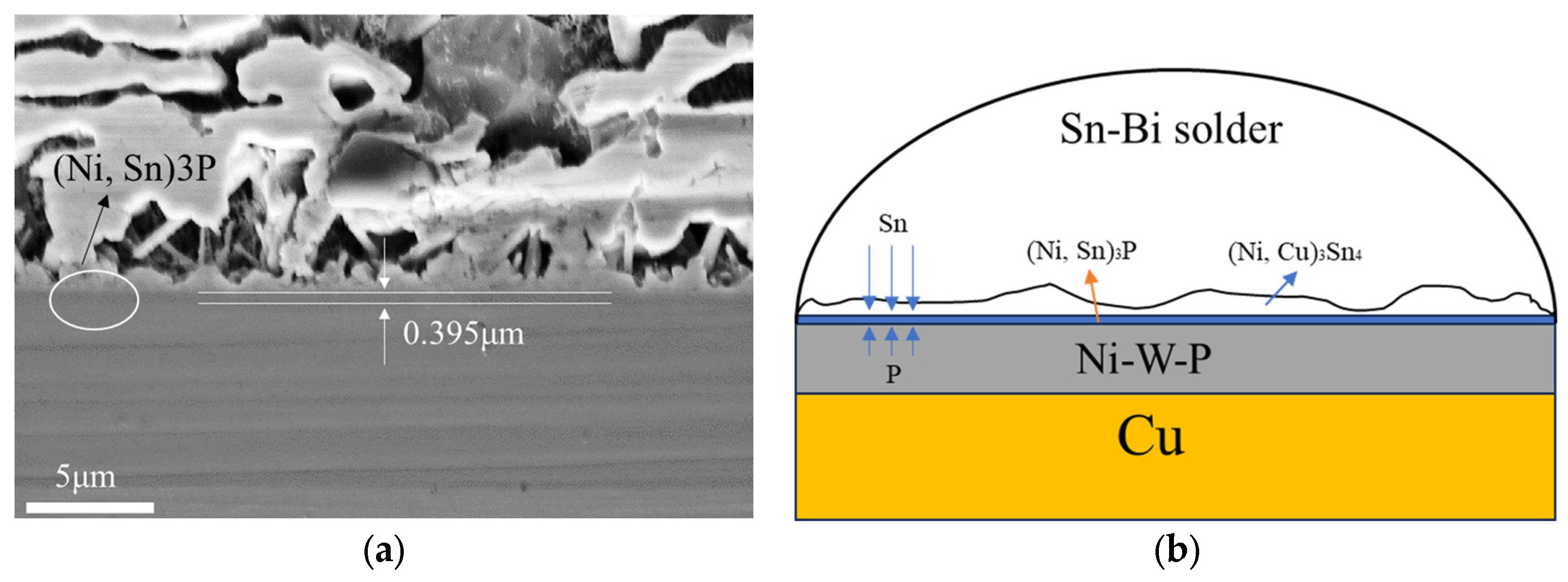 Metals 14 01107 g009