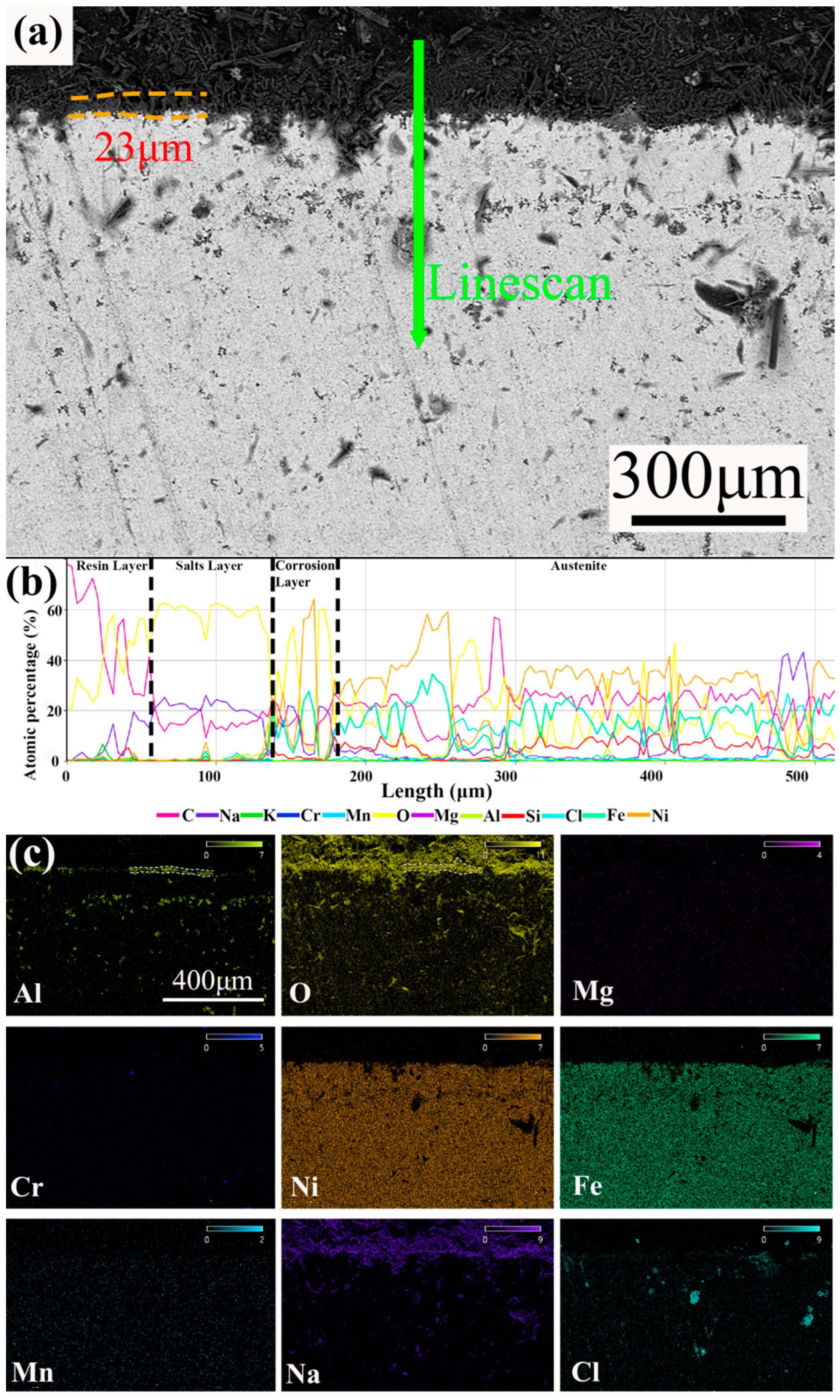 Metals 14 01109 g008