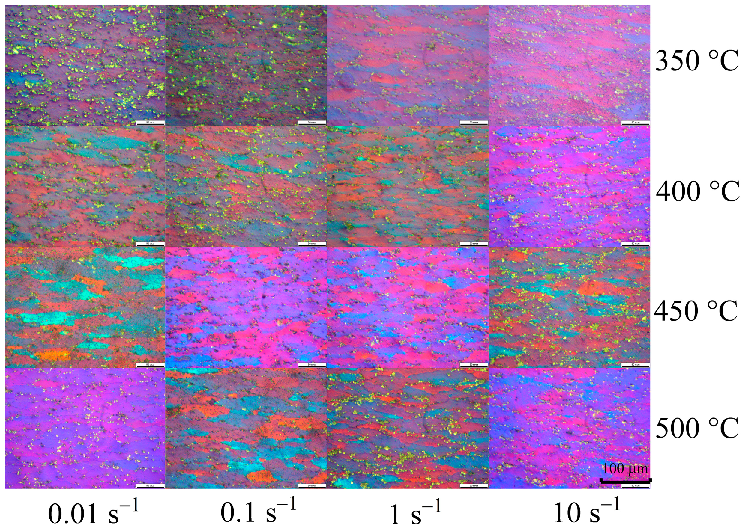 Metals 14 01114 g010