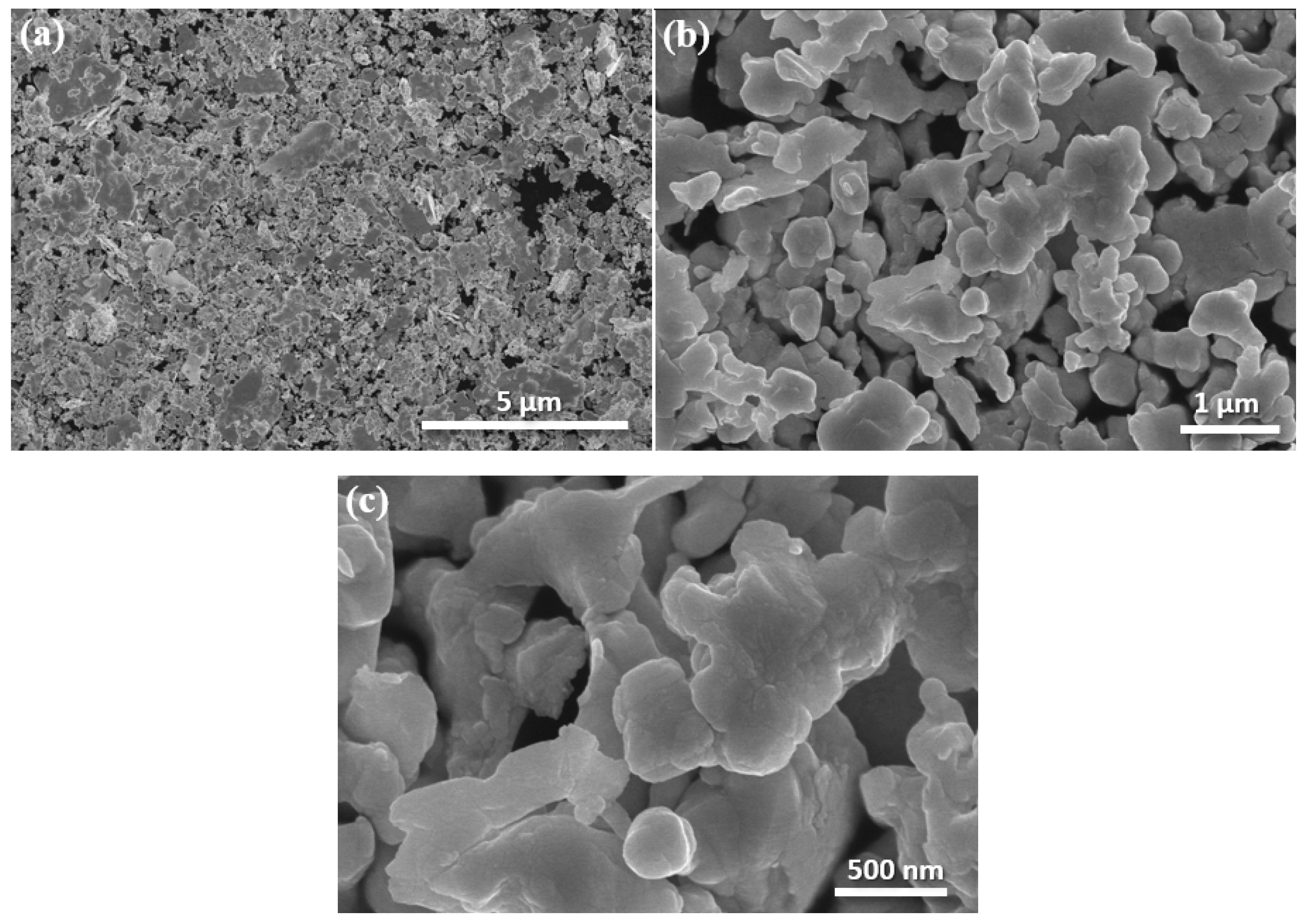 Metals 14 01123 g001