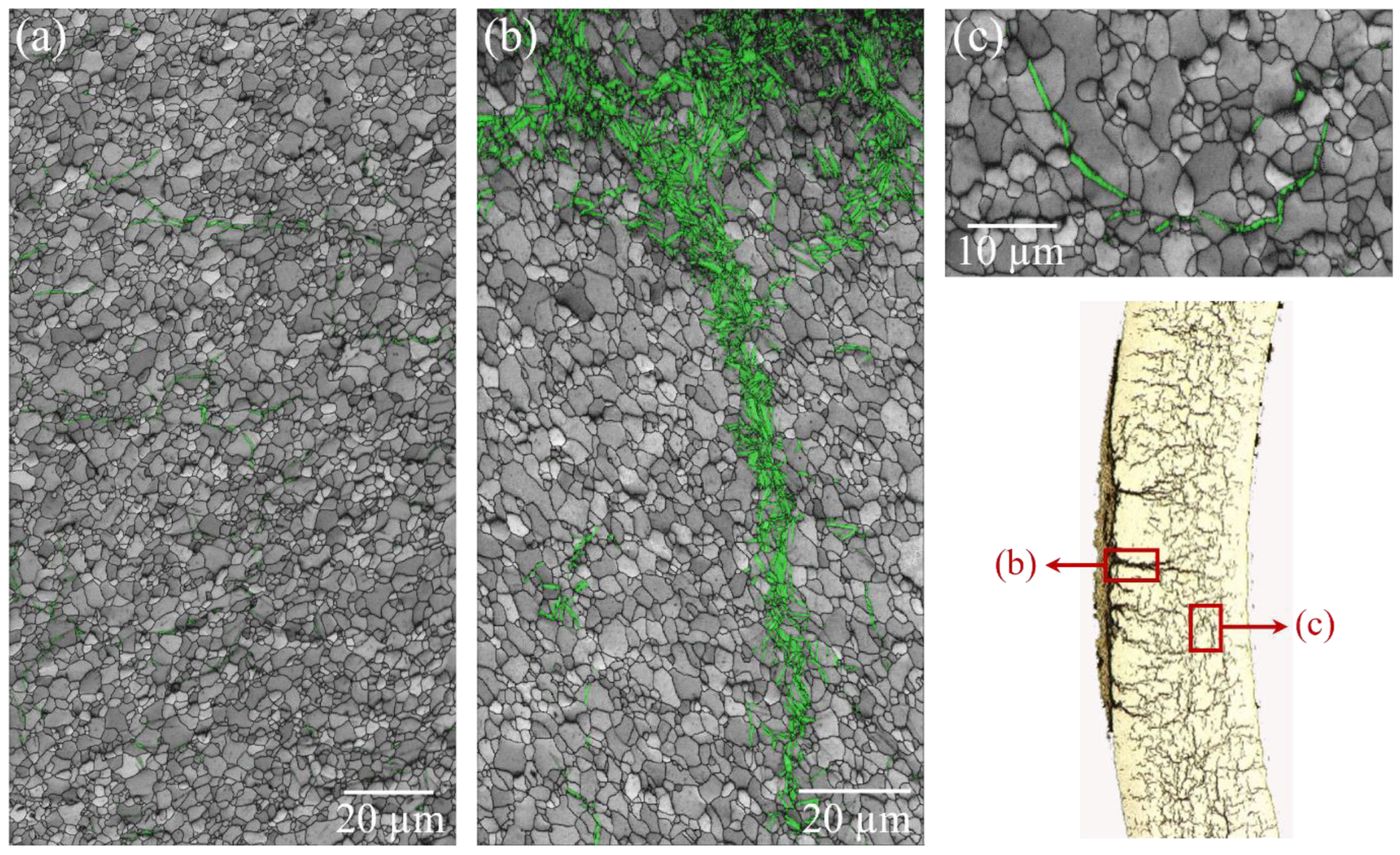 Metals 14 01126 g004