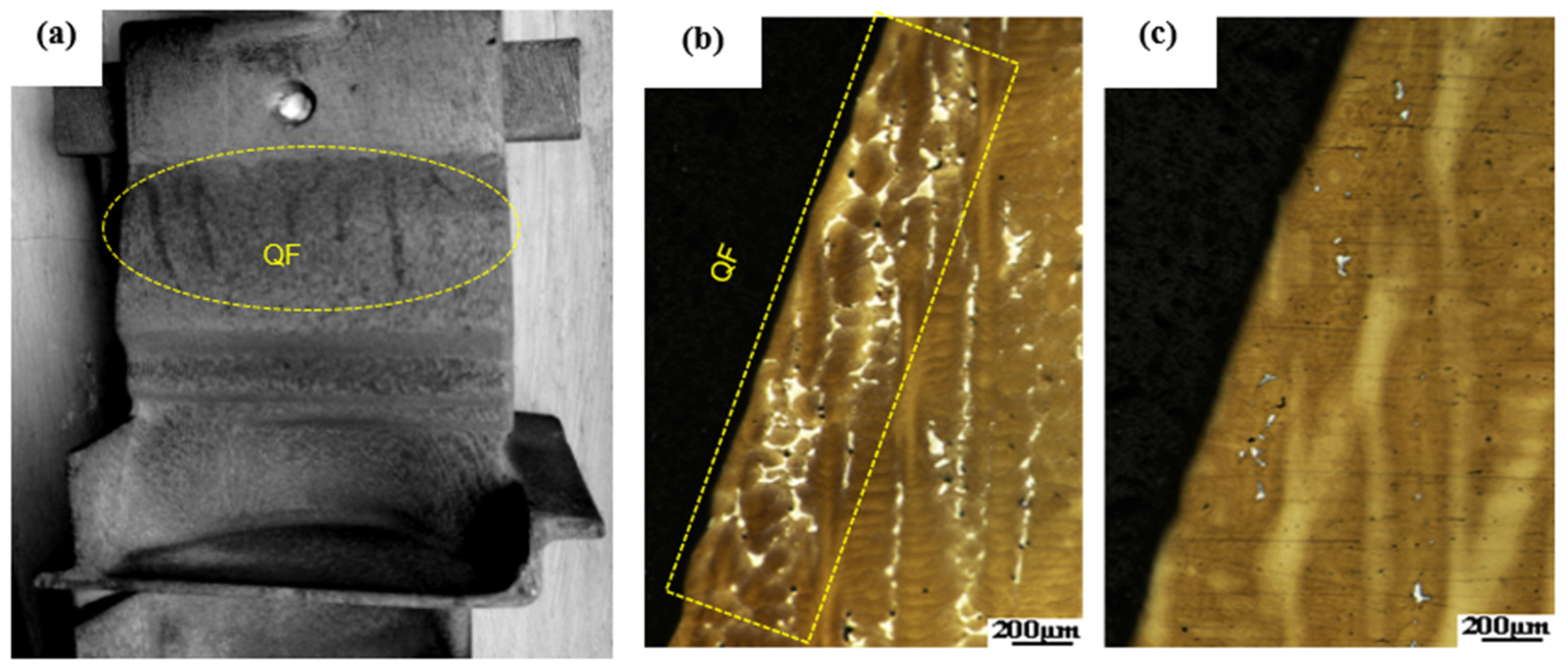 Metals 14 01129 g002