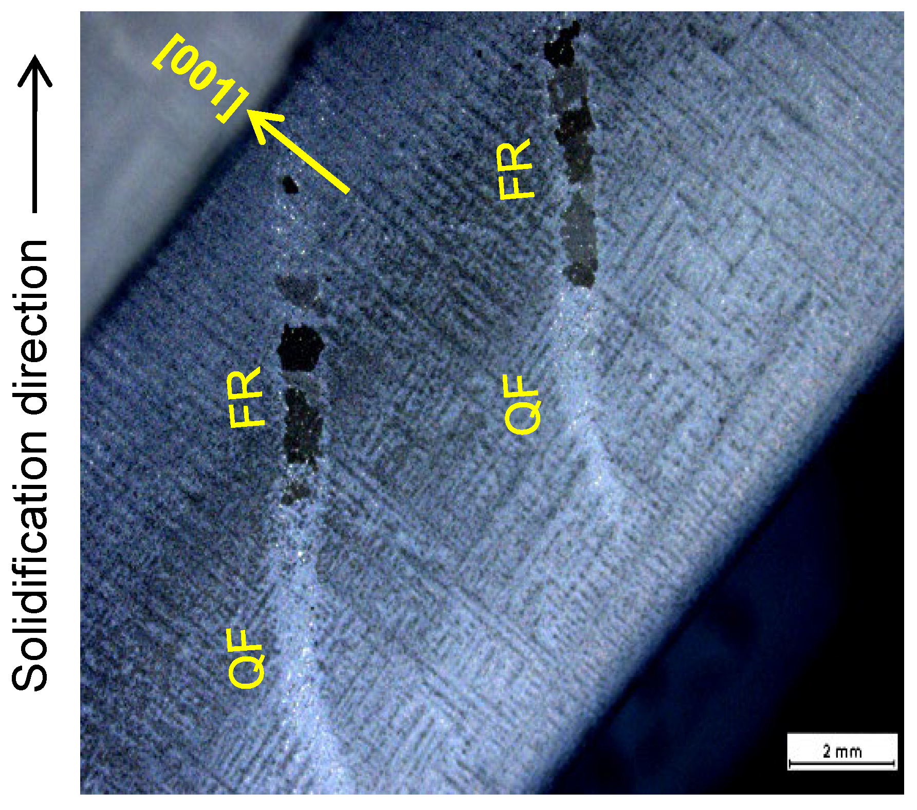 Metals 14 01129 g005