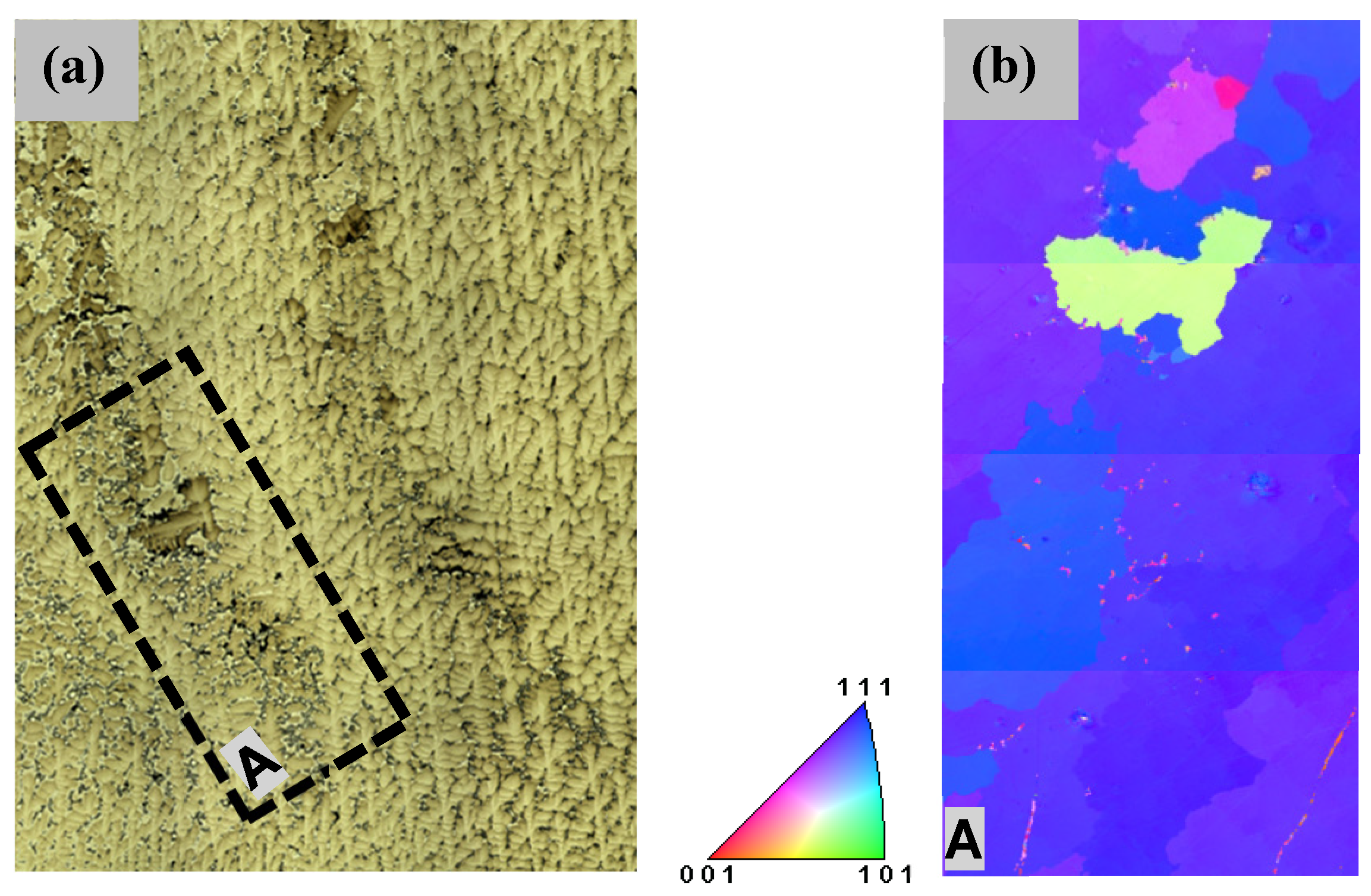 Metals 14 01129 g006