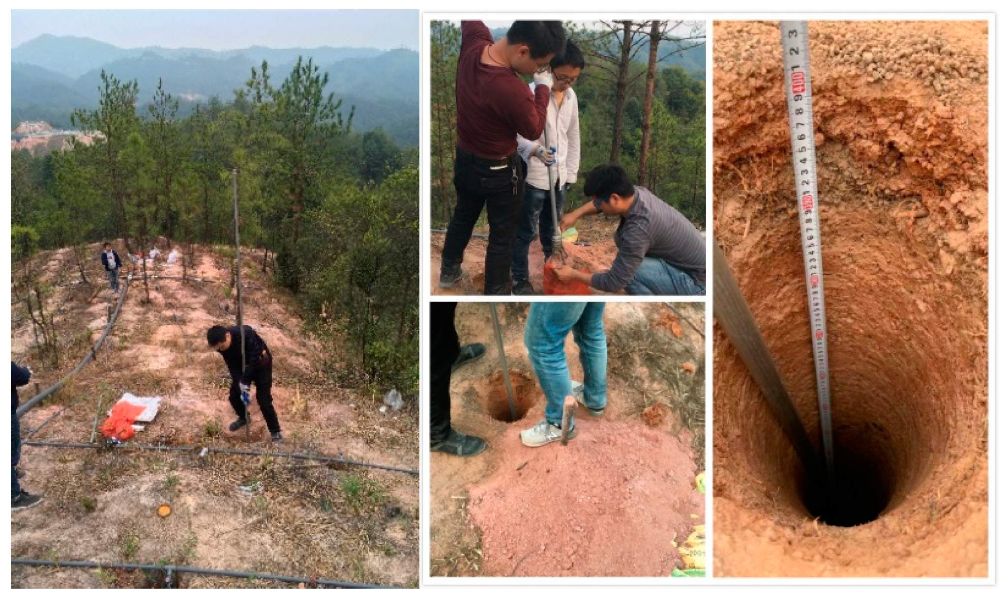 Metals 14 01130 g002